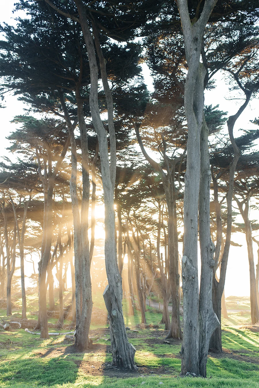 destination_engagement_photographer_photography_film_fine_art_high_end_california_san_francisco_wedding_lands_end_sutro_baths_golden_gate_bridge_janine_licare-76.jpg