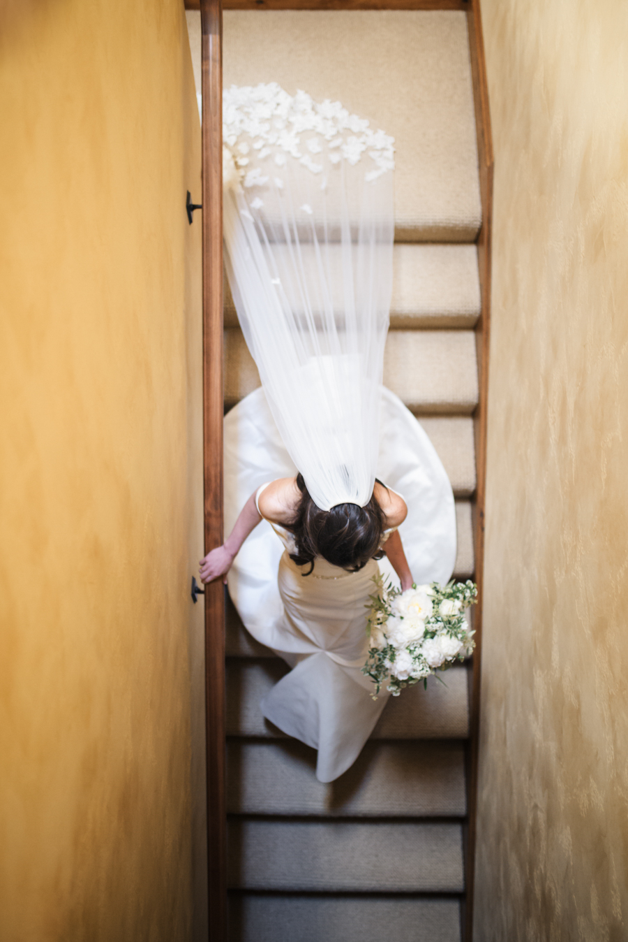 Molly_and_Ross_Janine_Licare_Photography-56.jpg