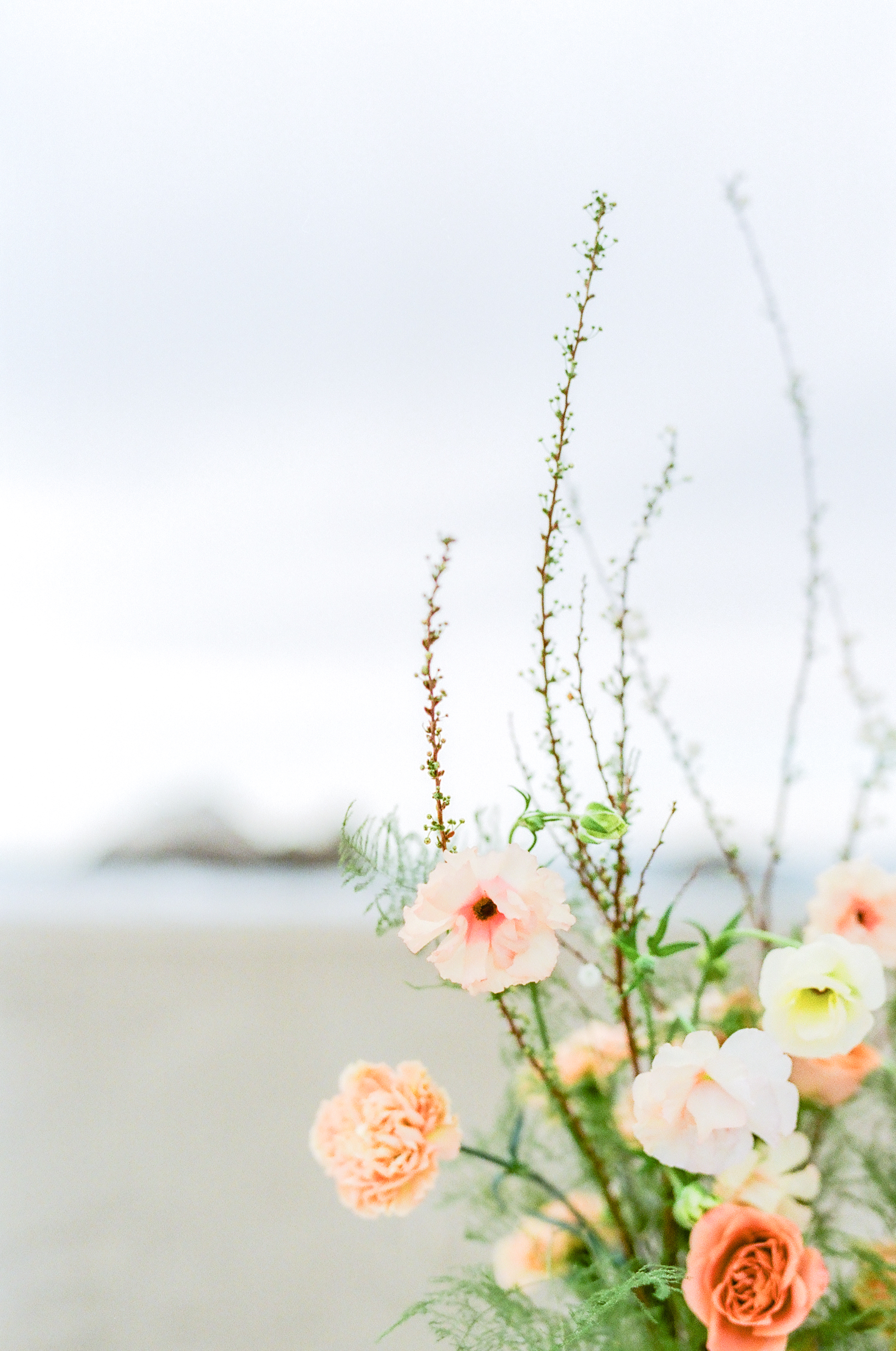 Seaside_Ruins_Janine_Licare_Photography-70.jpg