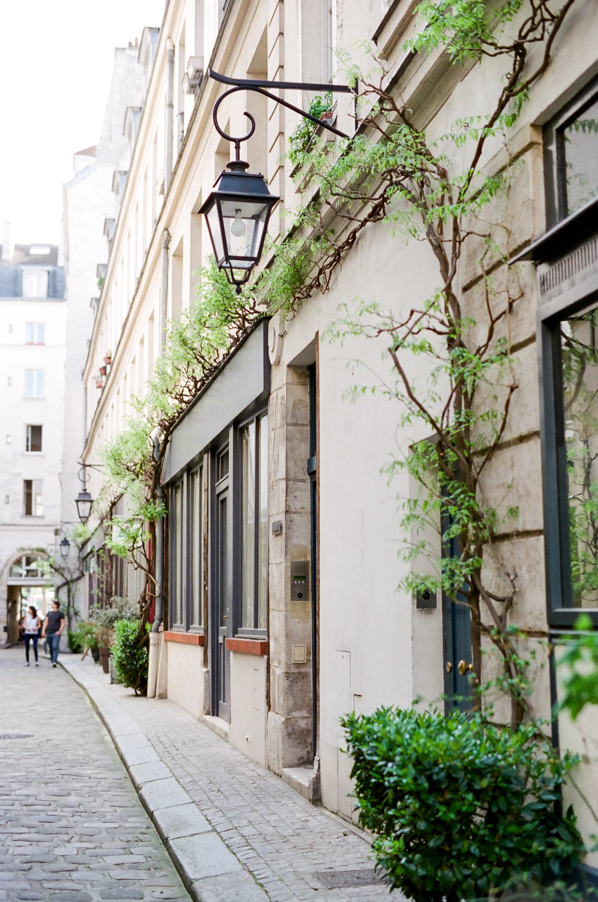 Janine_Licare_Photography_Paris_Wedding_Elopement_Photographer_San_Francisco-1.jpg