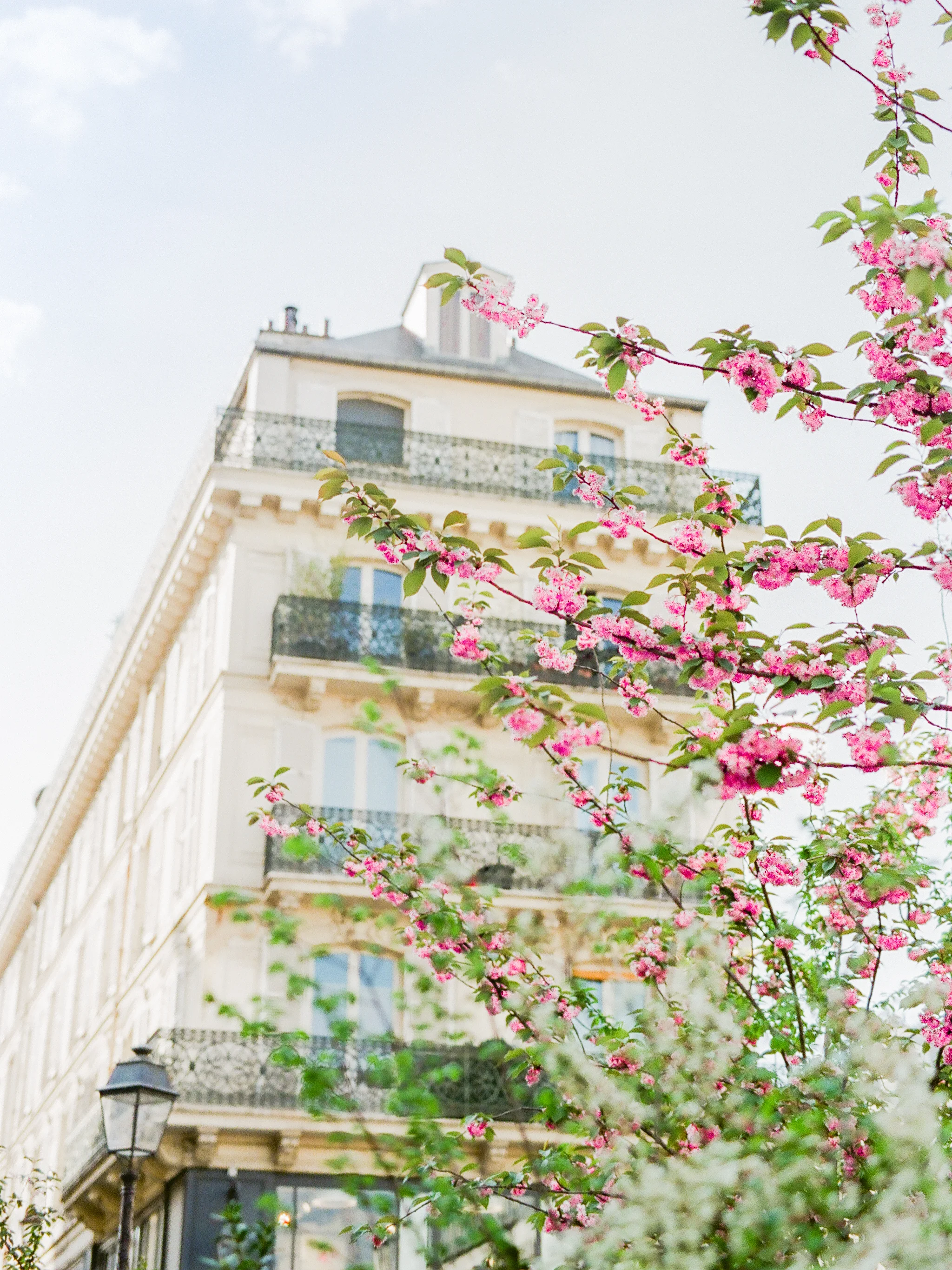 Janine_Licare_Photography_Paris_Wedding_Elopement_Photographer_San_Francisco-4.jpg