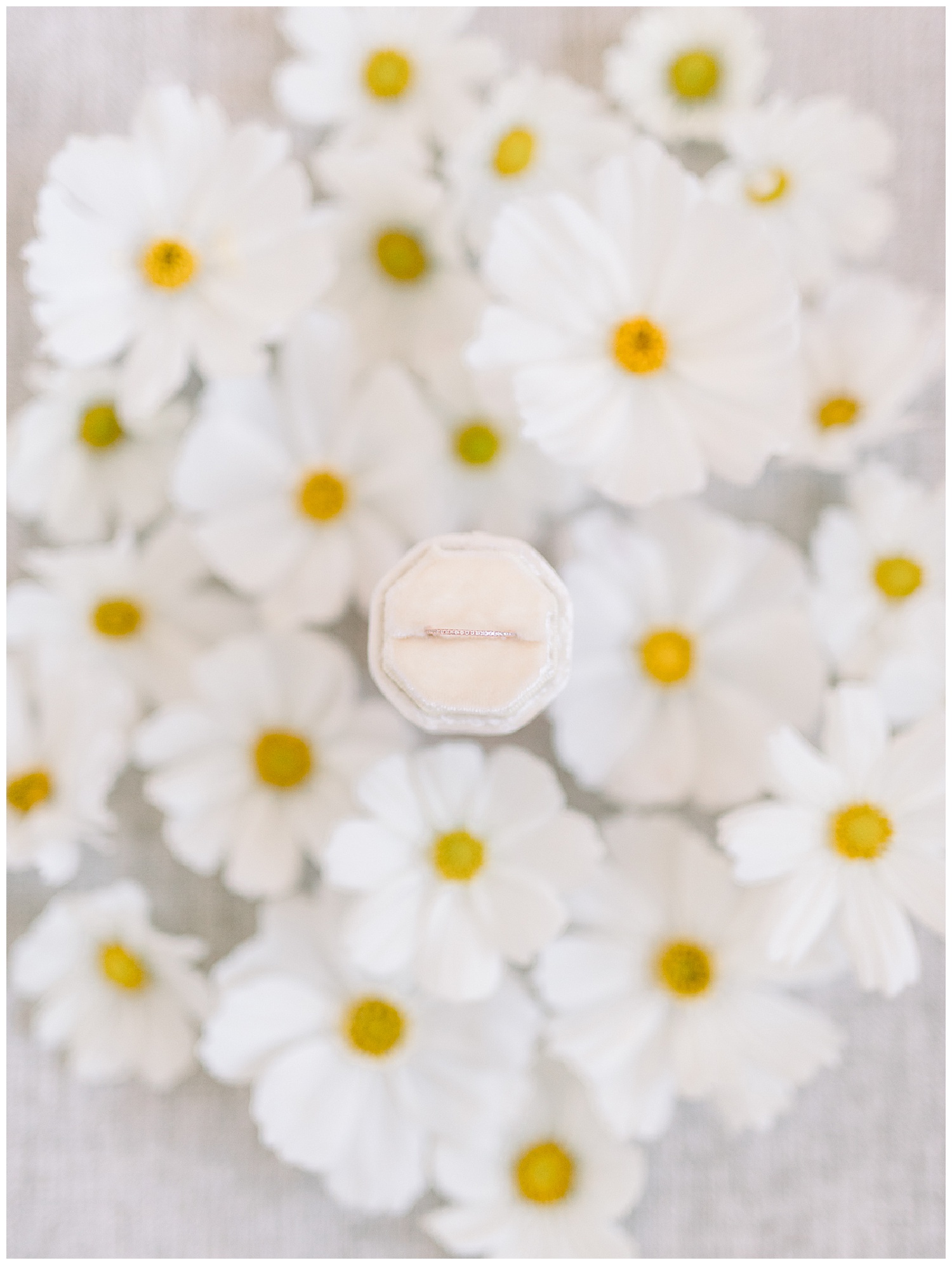 Wedding at The Ranch at Laguna Beach_Janine Licare Photography