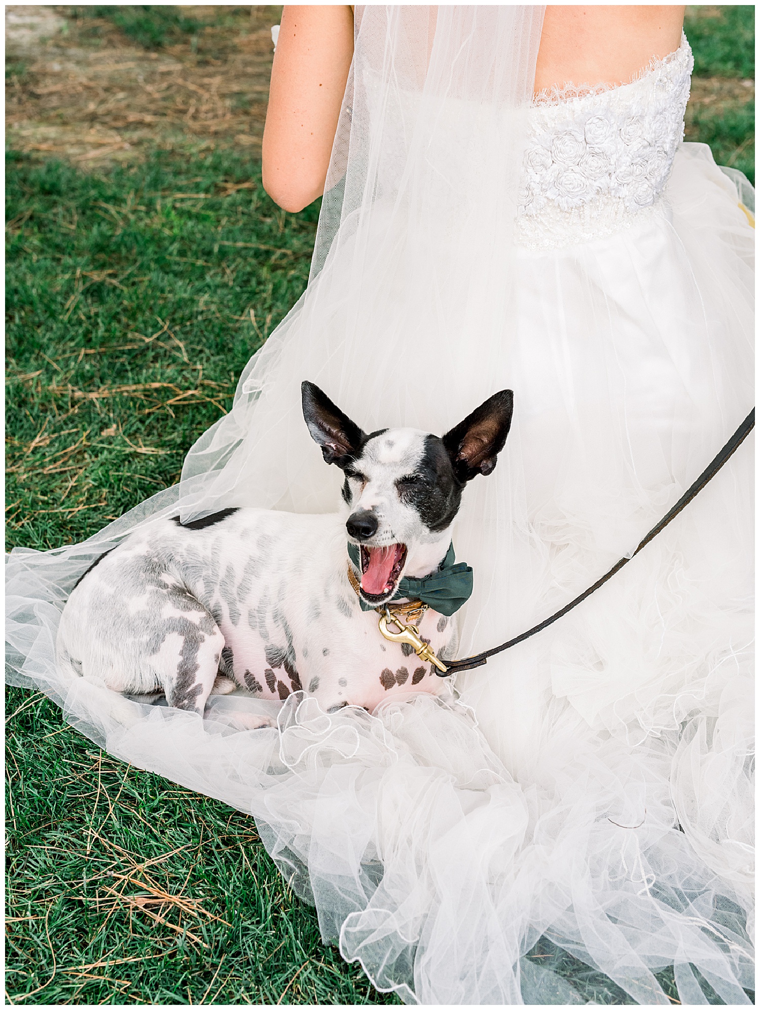 Wedding at The Ranch at Laguna Beach_Janine Licare Photography