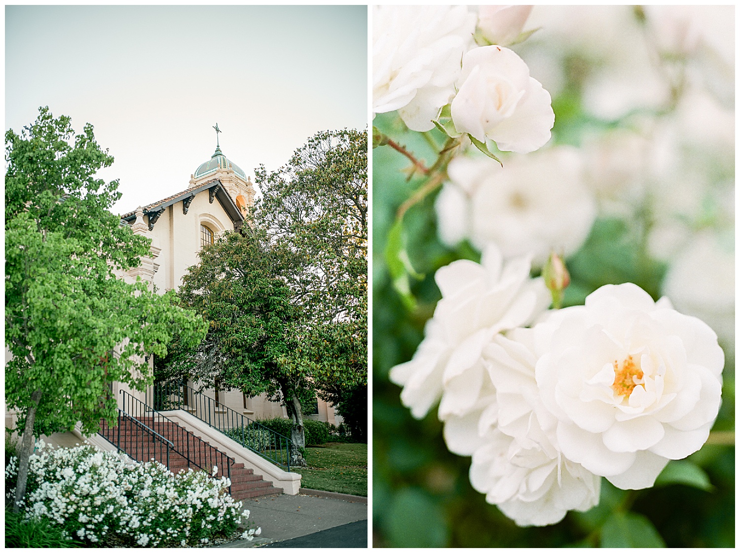 Janine_Licare_Photography_San_Francisco_Wedding_Photographer_0120.jpg