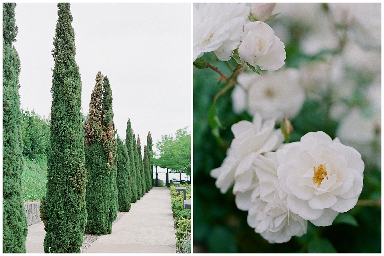 Janine_Licare_Photography_San_Francisco_Wedding_Photographer_Carneros_Tyge_Williams_Sonoma_Napa_0048.jpg