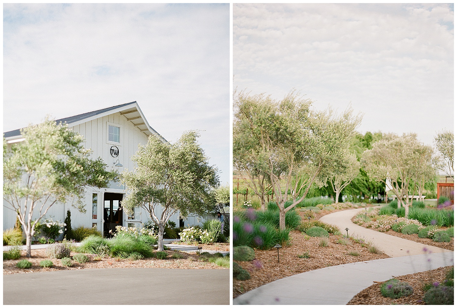 Janine_Licare_Photography_San_Francisco_Wedding_Photographer_Carneros_Tyge_Williams_Sonoma_Napa_0065.jpg