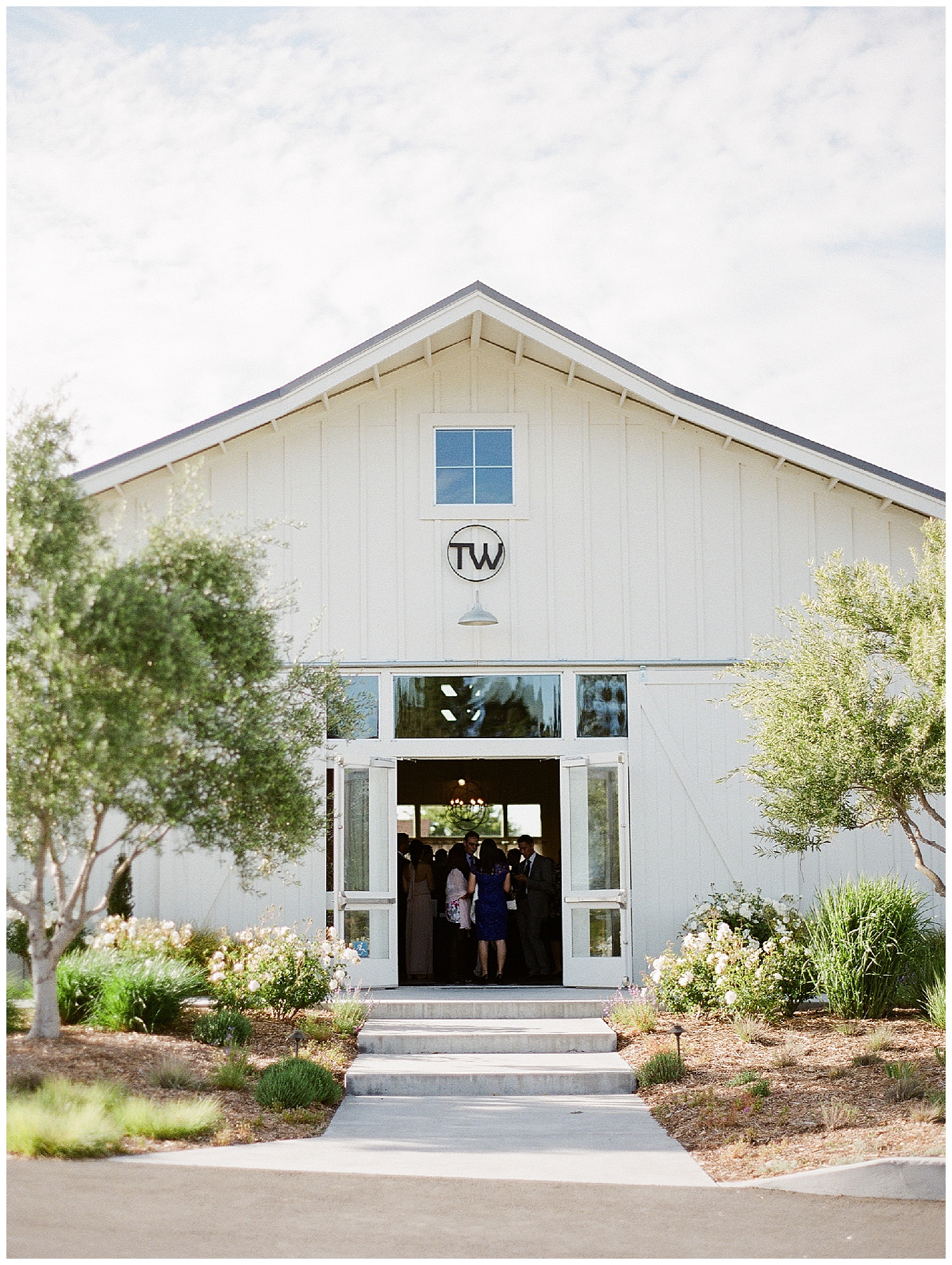 Janine_Licare_Photography_San_Francisco_Wedding_Photographer_Carneros_Tyge_Williams_Sonoma_Napa_0066.jpg