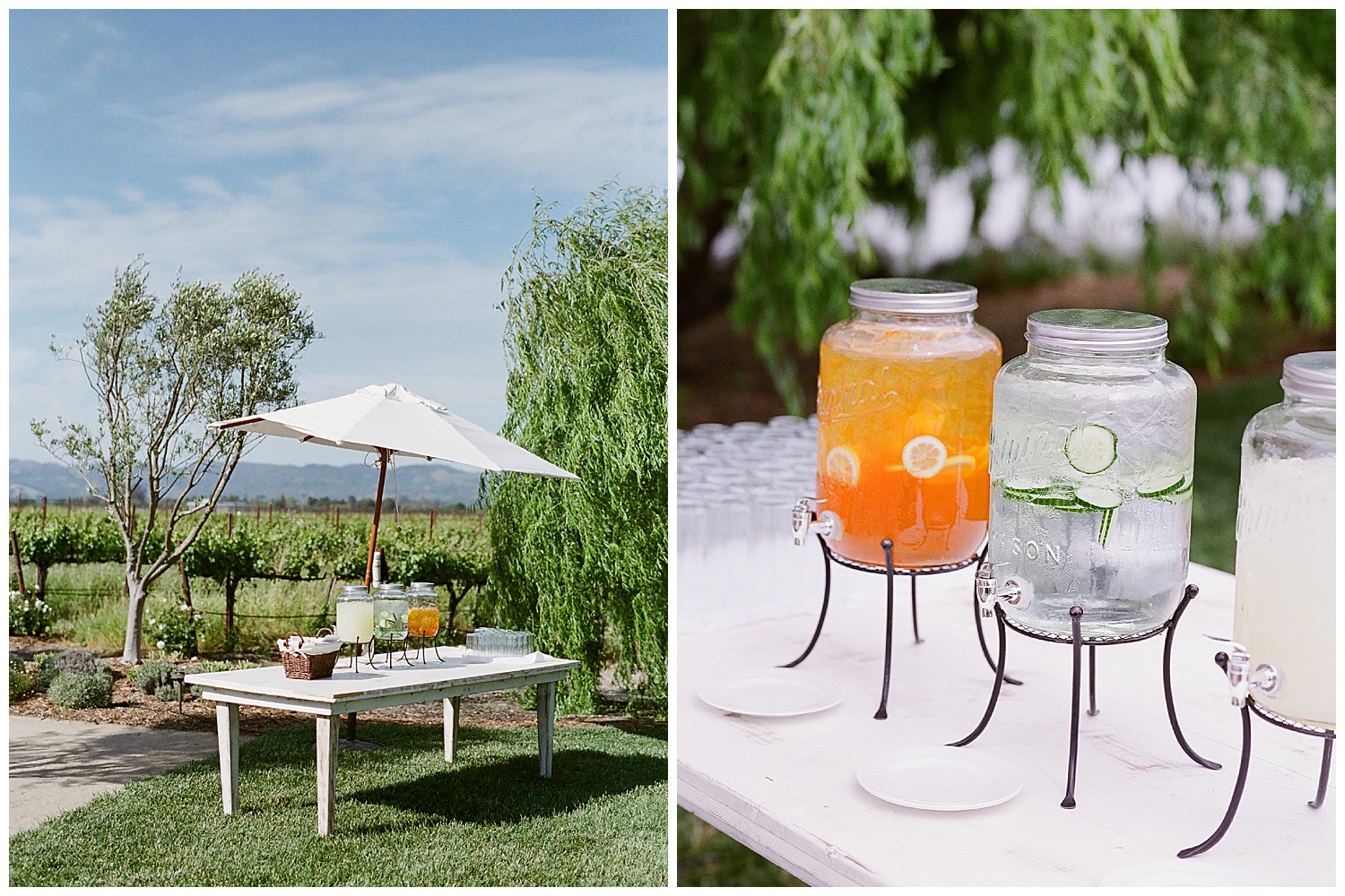 Janine_Licare_Photography_San_Francisco_Wedding_Photographer_Carneros_Tyge_Williams_Sonoma_Napa_0069.jpg