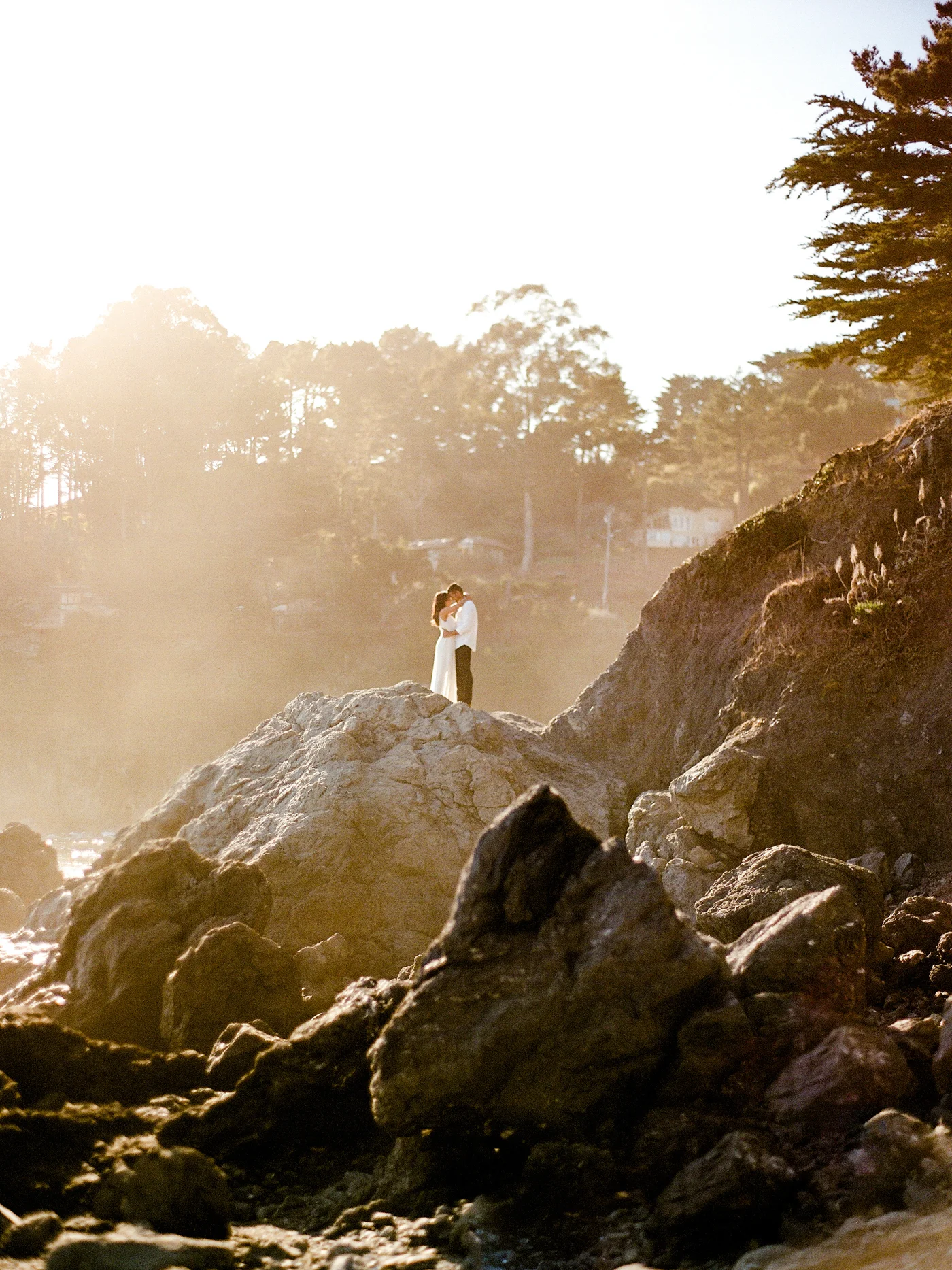 Payal and Vince_Janine_Licare_Photography-2.jpg
