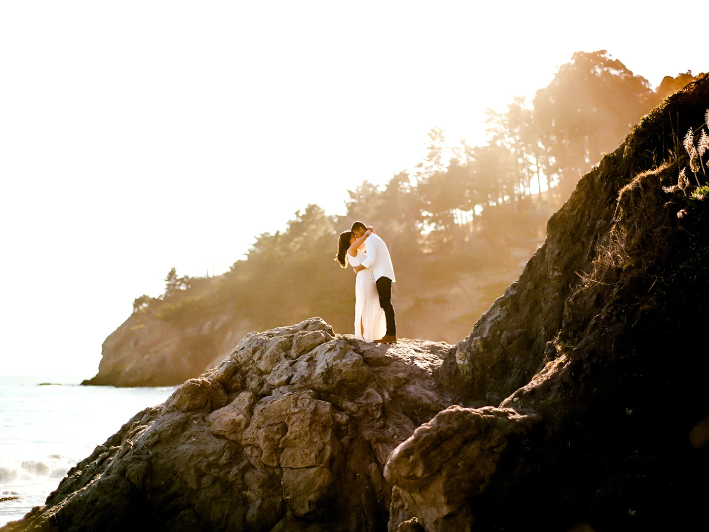 Payal and Vince_Janine_Licare_Photography-5.jpg