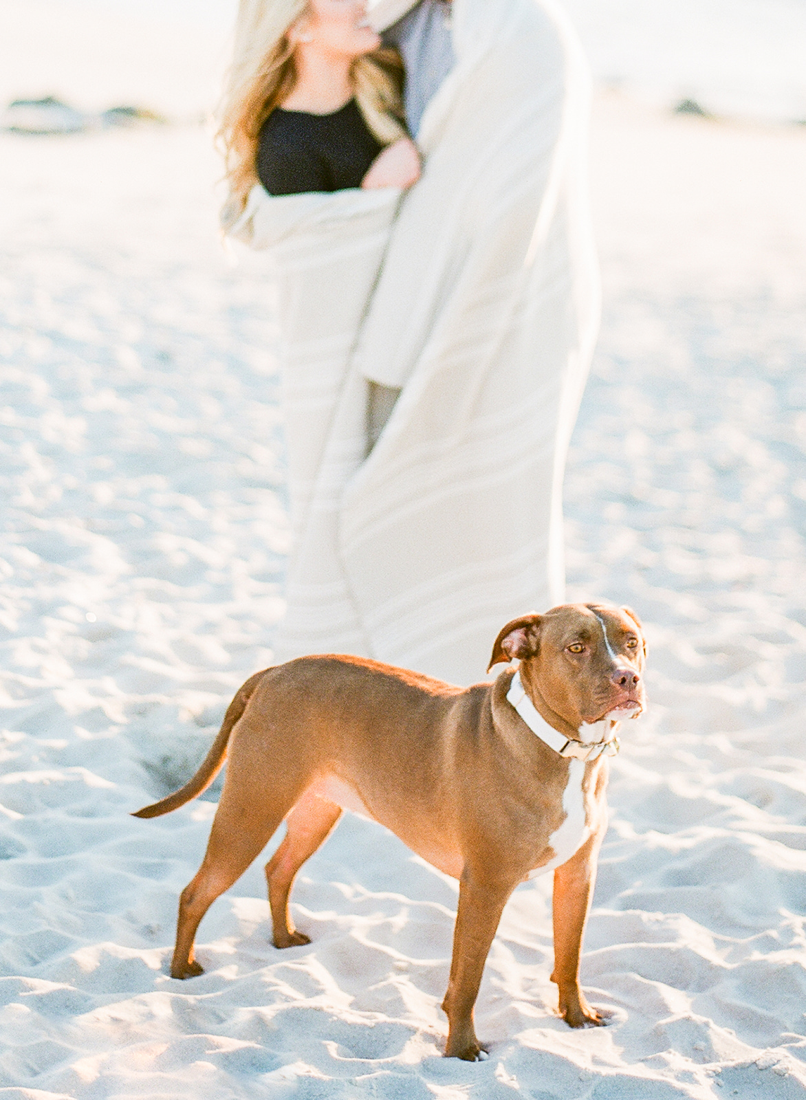 Morgan and Justin-168.jpg