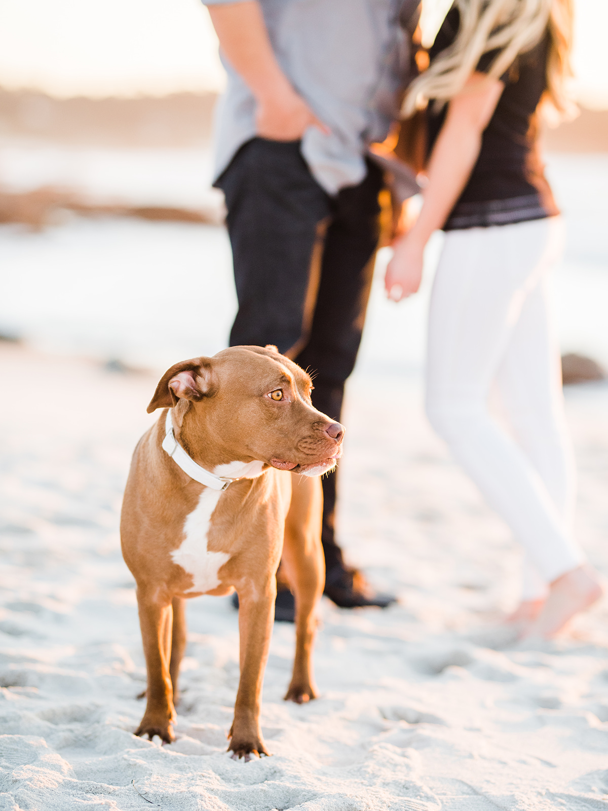 Morgan and Justin-191.jpg