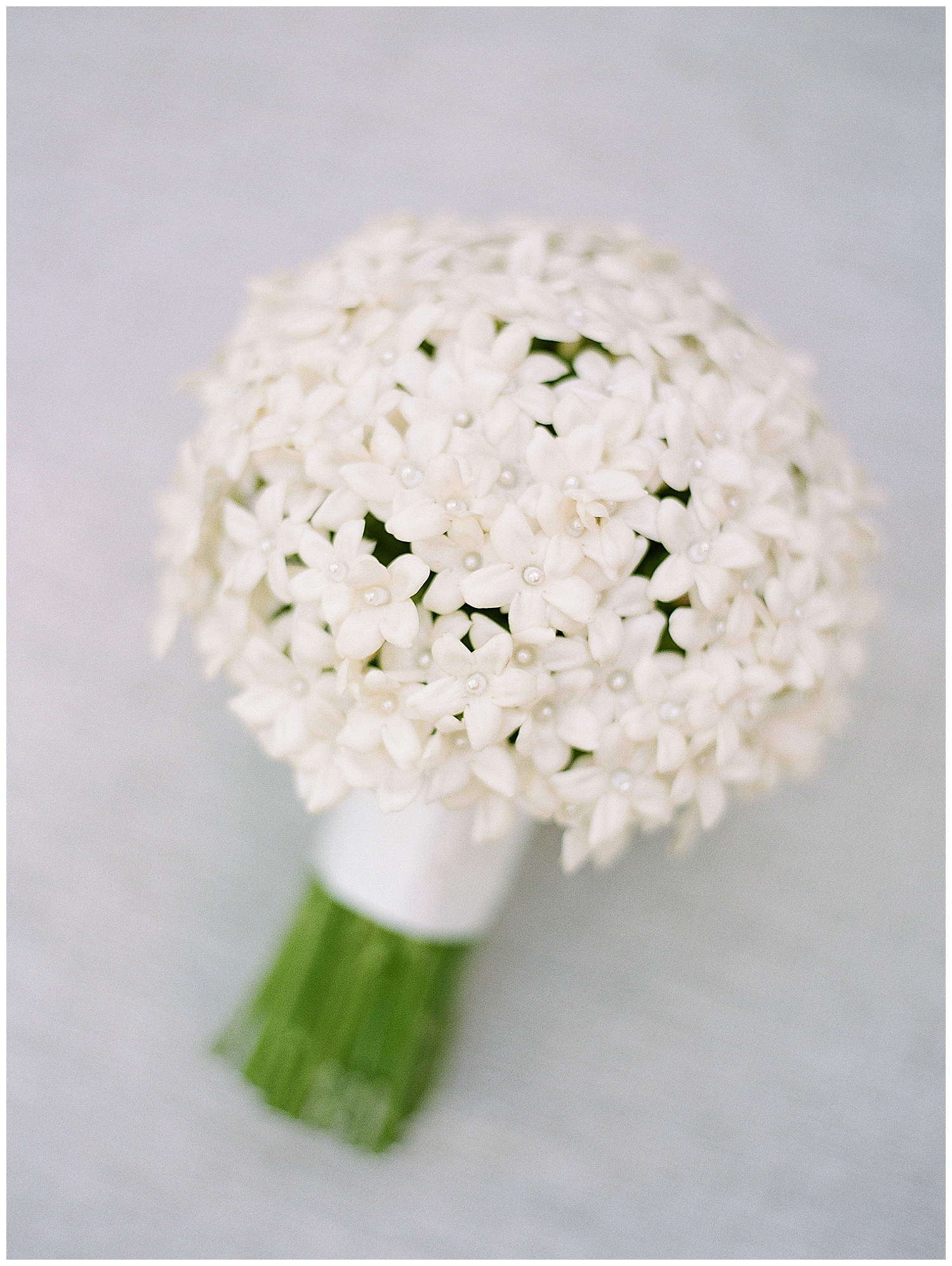 Janine_Licare_Photography_San_Francisco_Wedding_Photographer_Meadowood_Napa_Valley_Sonoma_0008.jpg