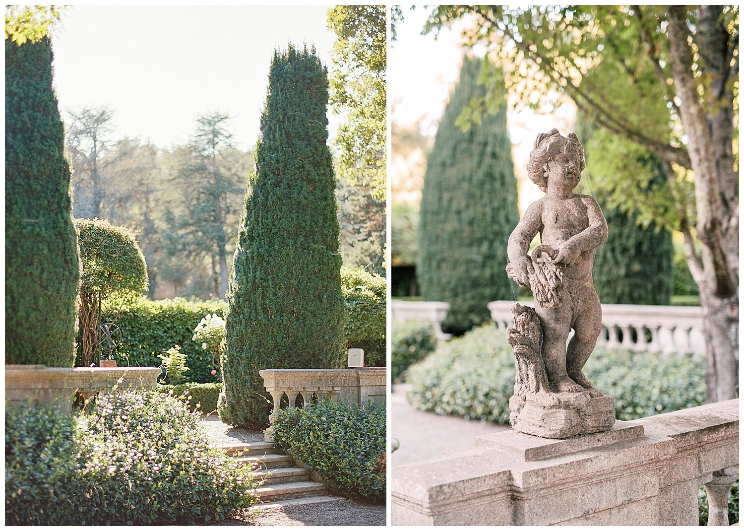 Beaulieu_Garden_Wedding_Napa_Sonoma_Janine_Licare_Photography_0002.jpg