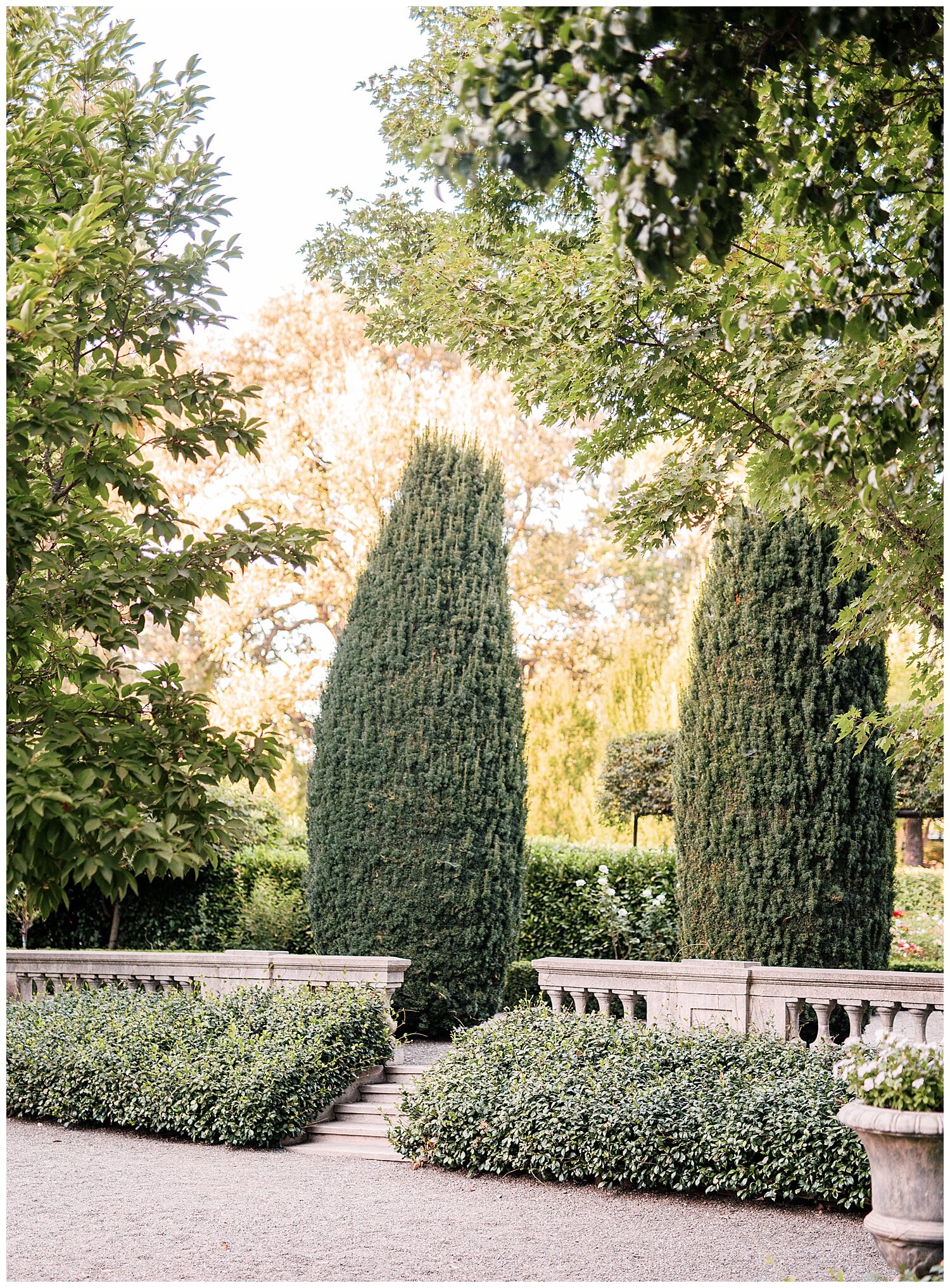 Beaulieu_Garden_Wedding_Napa_Sonoma_Janine_Licare_Photography_0005.jpg