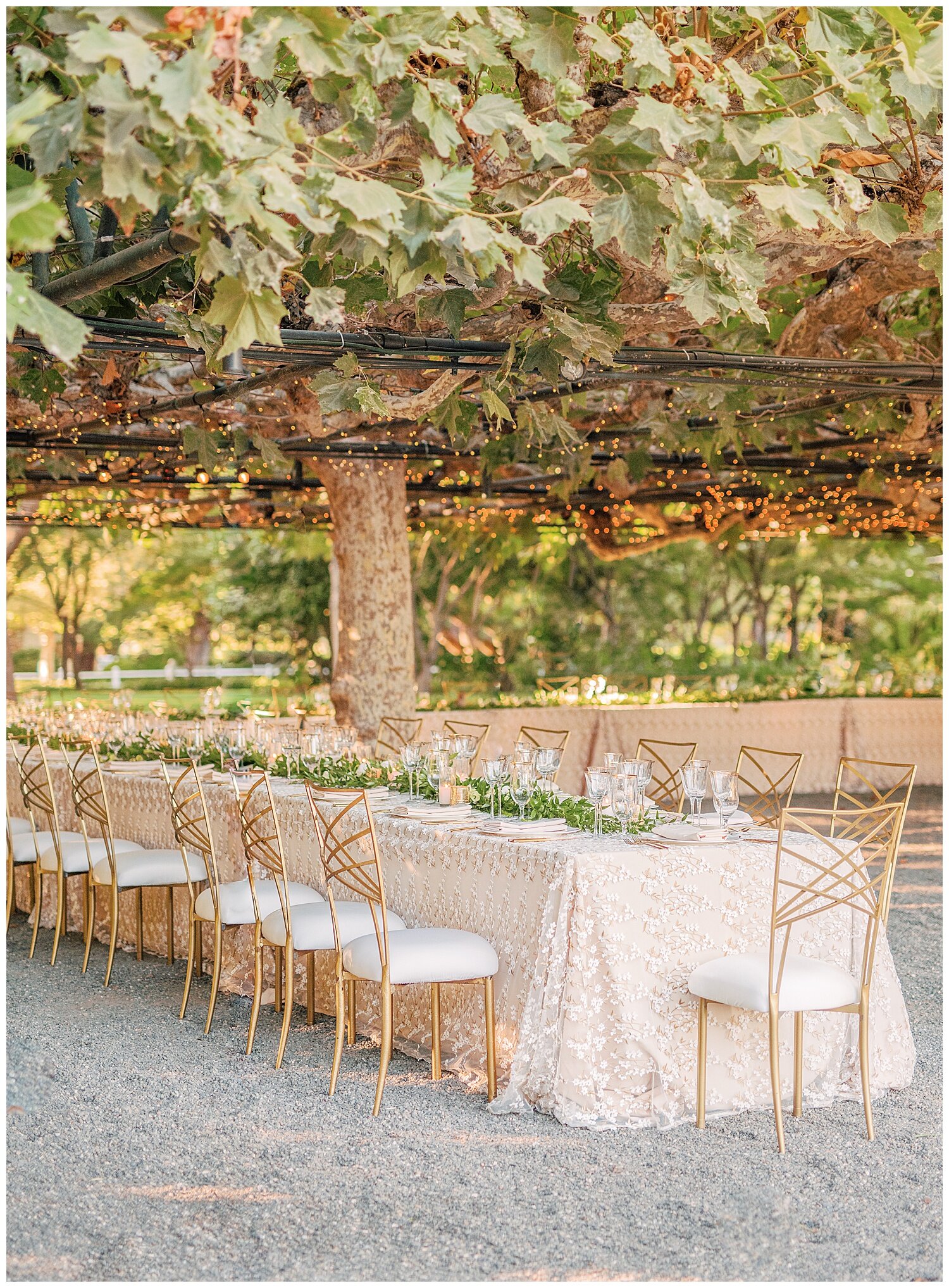 Beaulieu_Garden_Wedding_Napa_Sonoma_Janine_Licare_Photography_0039.jpg