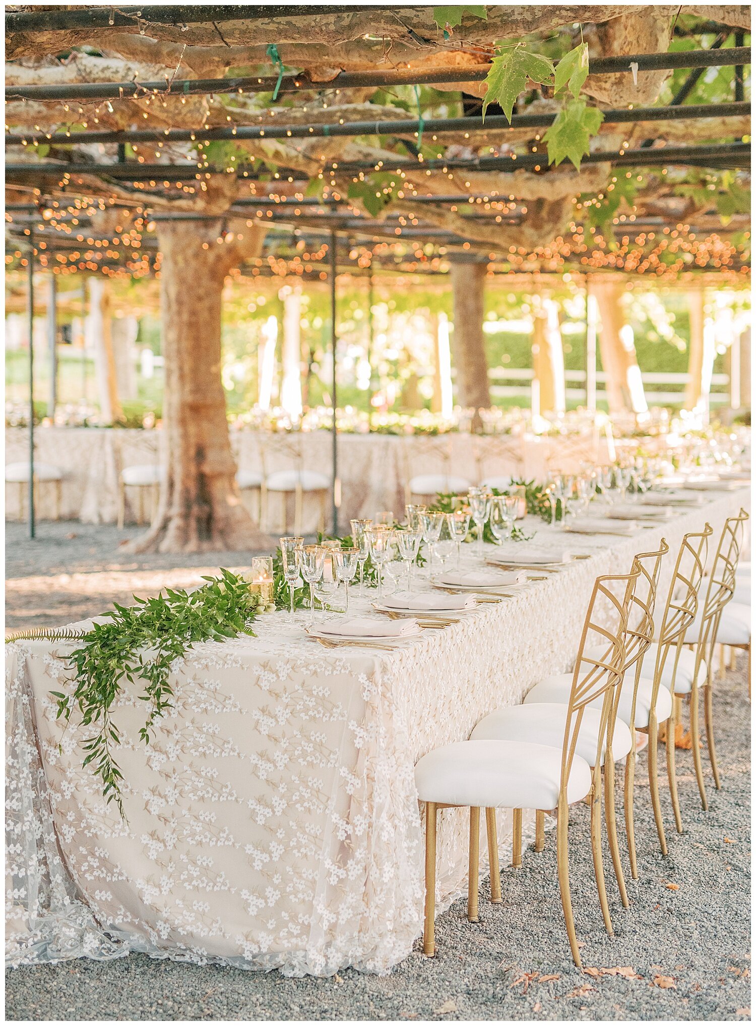 Beaulieu_Garden_Wedding_Napa_Sonoma_Janine_Licare_Photography_0041.jpg