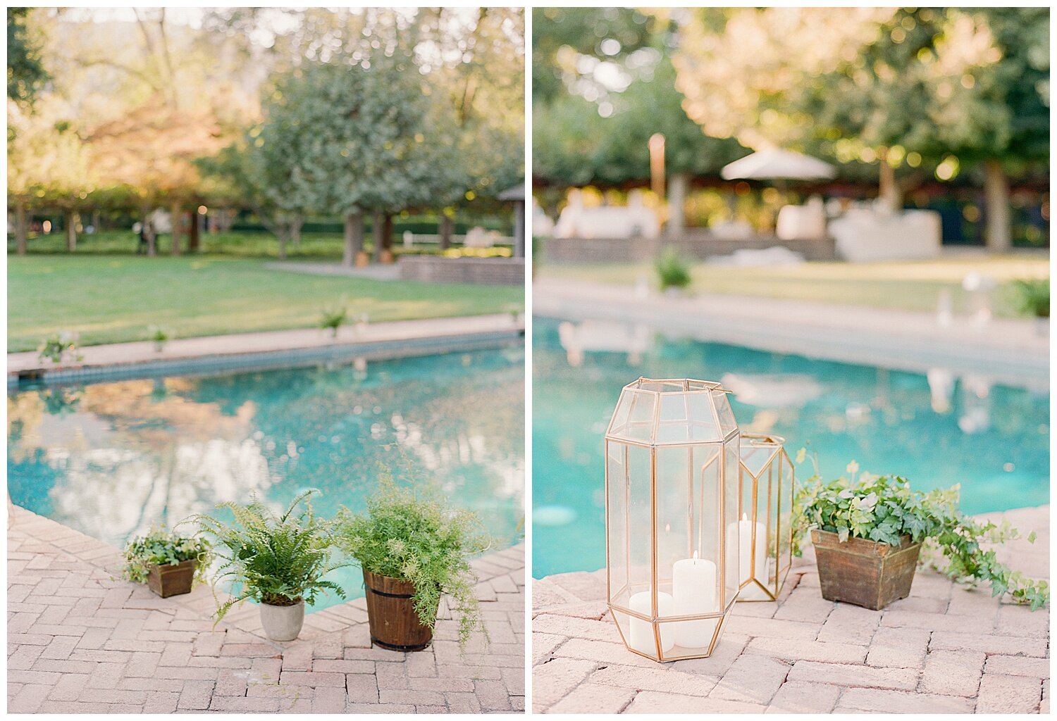 Beaulieu_Garden_Wedding_Napa_Sonoma_Janine_Licare_Photography_0056.jpg