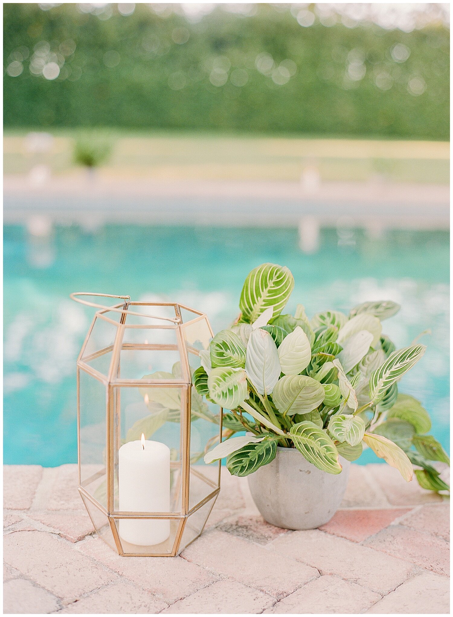 Beaulieu_Garden_Wedding_Napa_Sonoma_Janine_Licare_Photography_0057.jpg