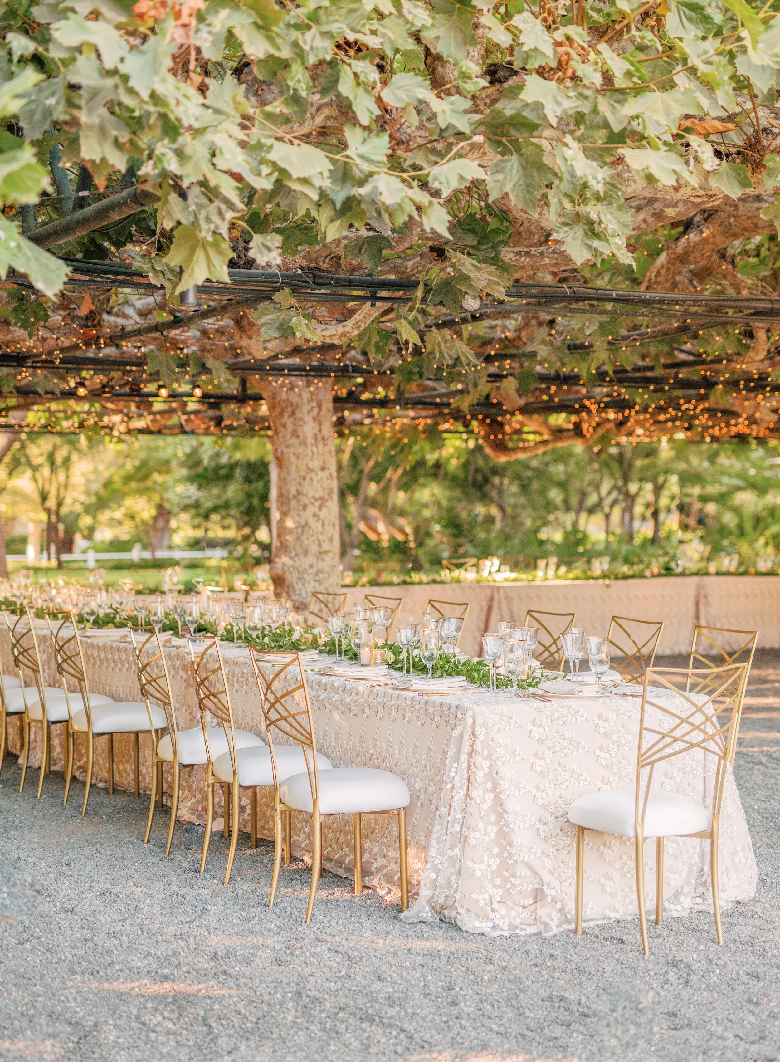 Classic Wedding at Beaulieu Garden in Napa Valley, CA