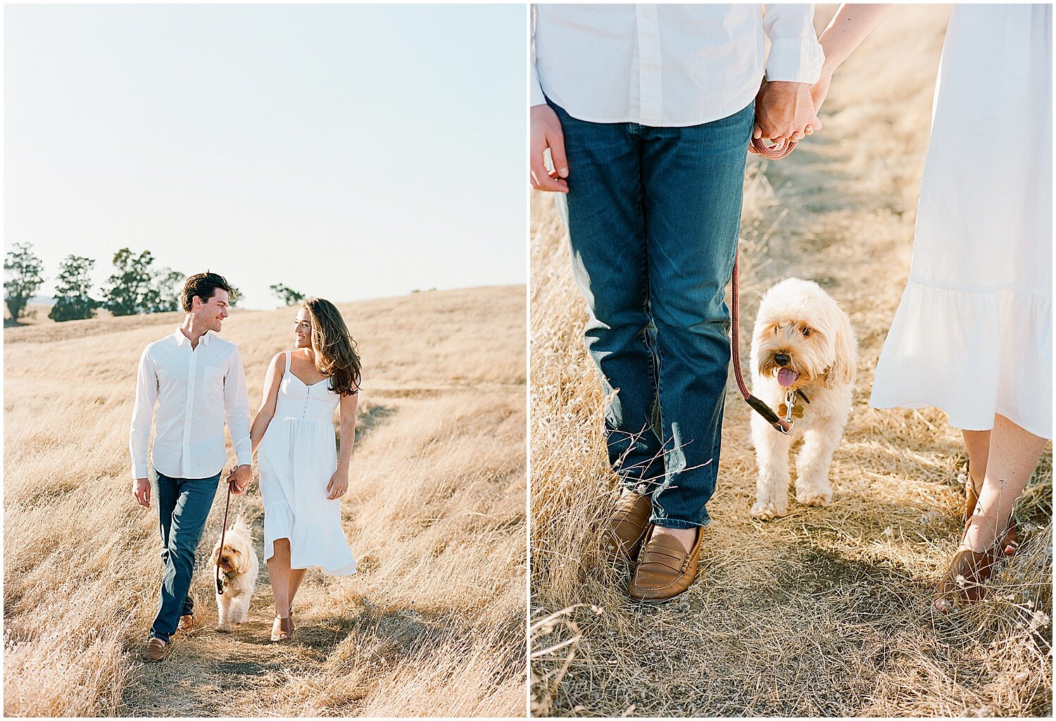 Janine_Licare_Photography_San_Francisco_Wedding_Photographer_Filoli_Garden_Engagement_Session_0028.jpg