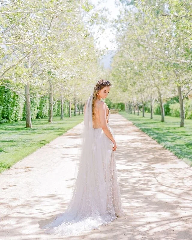 This sycamore lined allée at Kestrel Park will always be a favorite
//
Host Designer and Florist: @kalebnormanjames || Photography: @janinelicarephotography || Host Photographers: @Maria.lamb @amandakphotoart || Venue: @kestrelpark || Videography: @