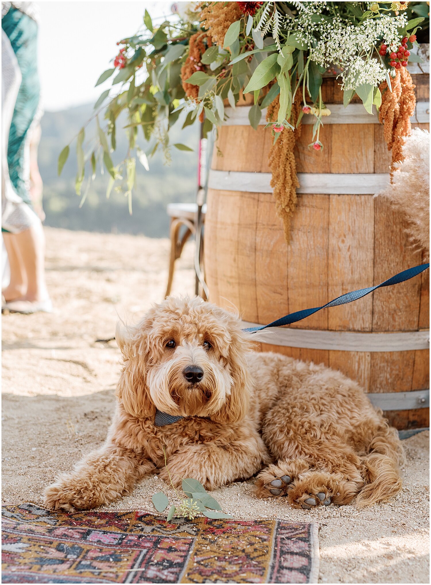 Janine_Licare_Photography_San_Francisco_Wedding_Photographer_Martha_Stewart_Weddings_Napa_Sonoma_0029.jpg