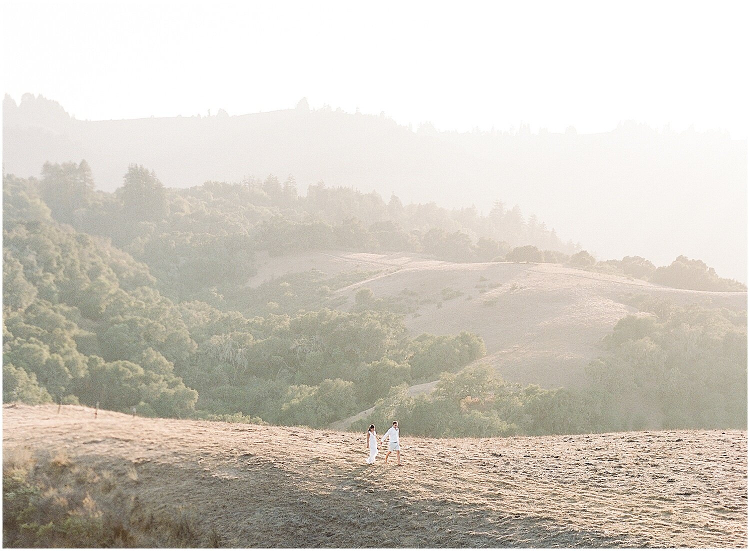 Janine_Licare_Photography_San_Francisco_Wedding_Photographer_Martha_Stewart_Weddings_Napa_Sonoma_0049.jpg