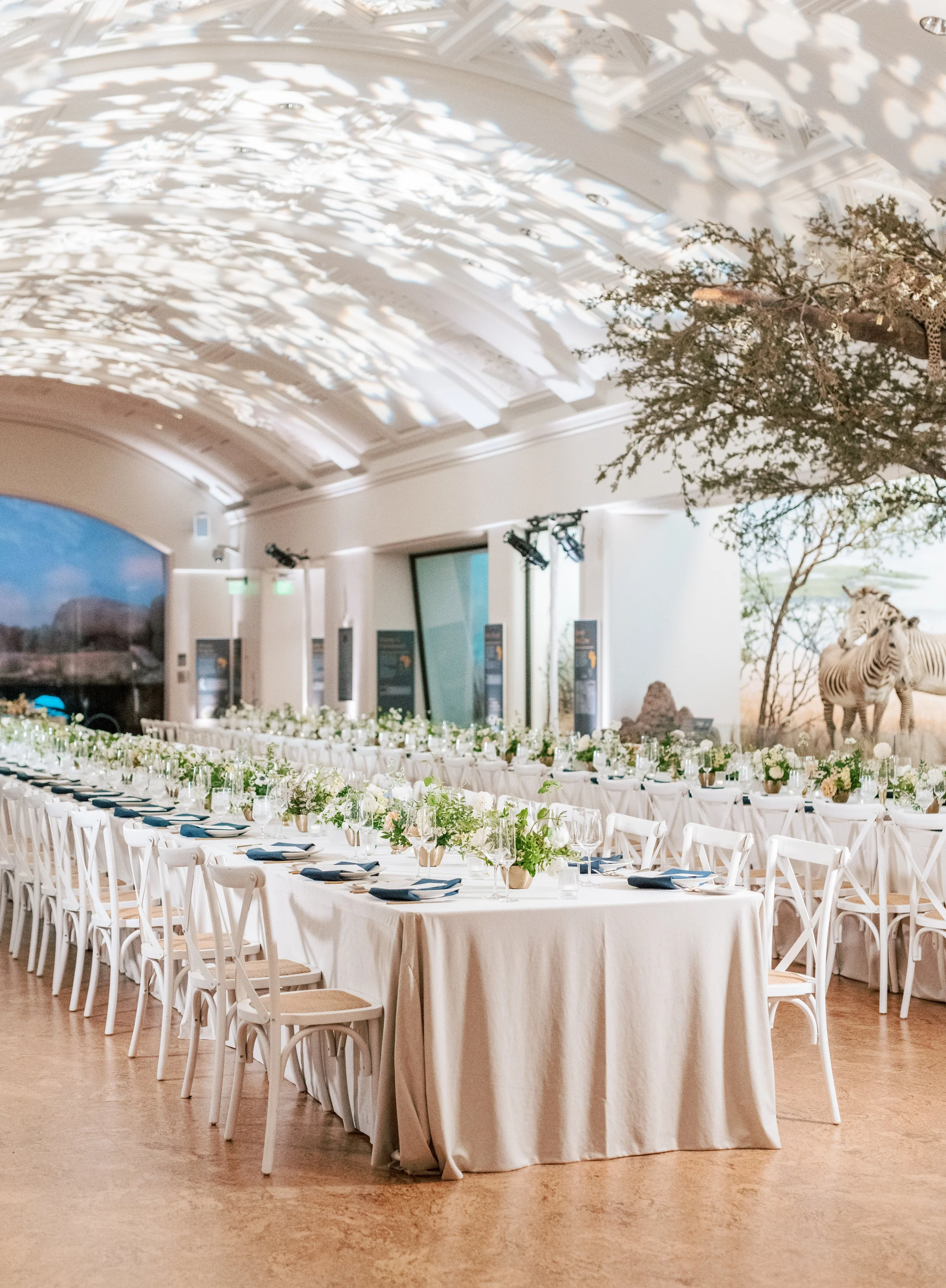 Kelsey and Andrew | California Academy of Sciences Wedding