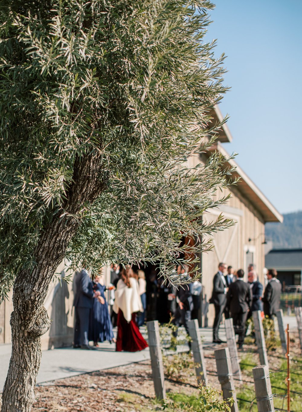 Ryan and Nick_Janine_Licare_Photography-57.jpg