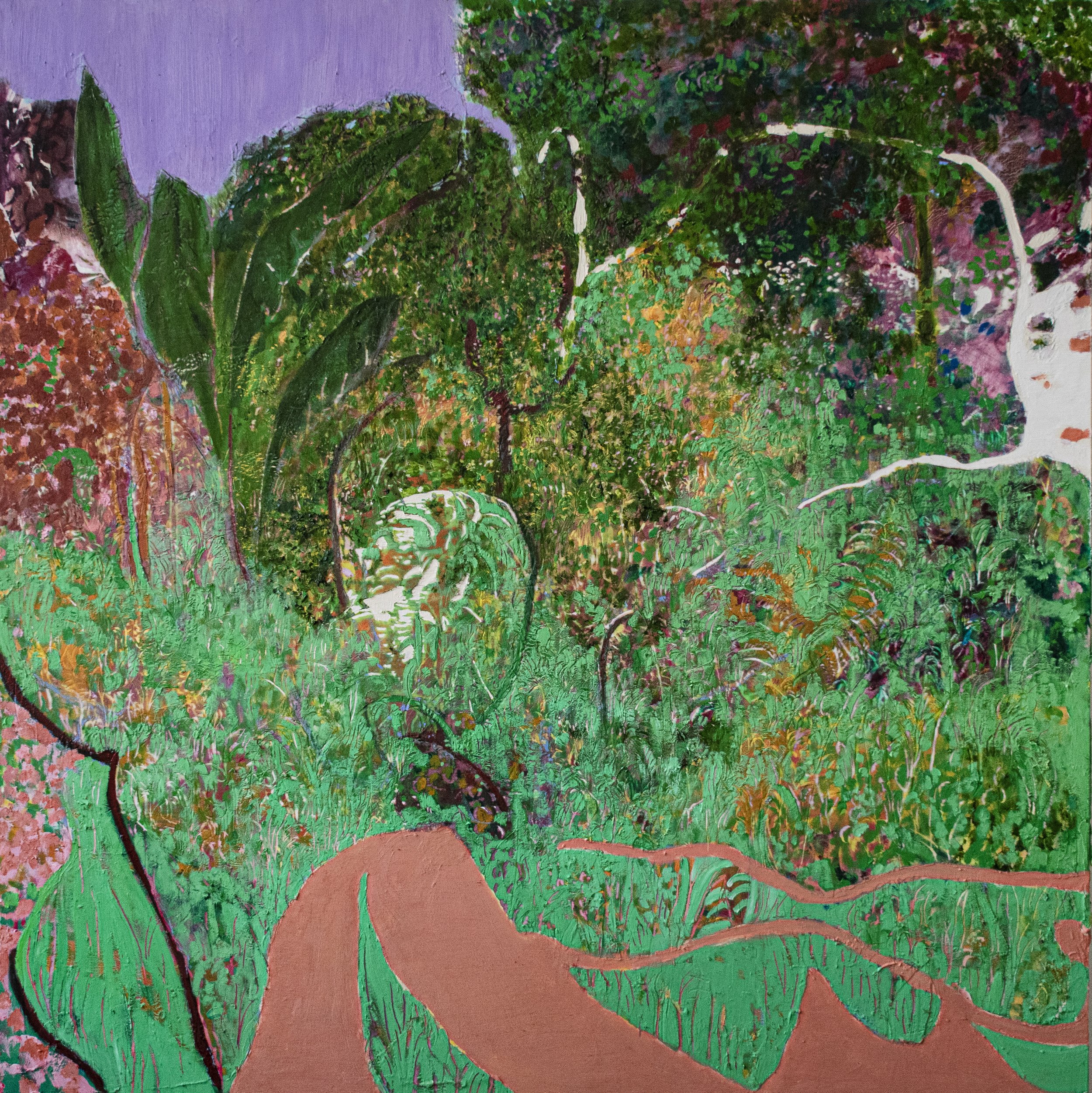 Connie Harrison