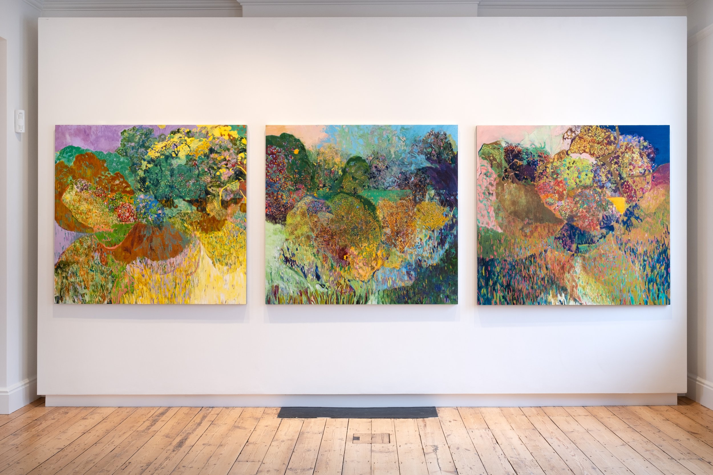 Connie Harrison