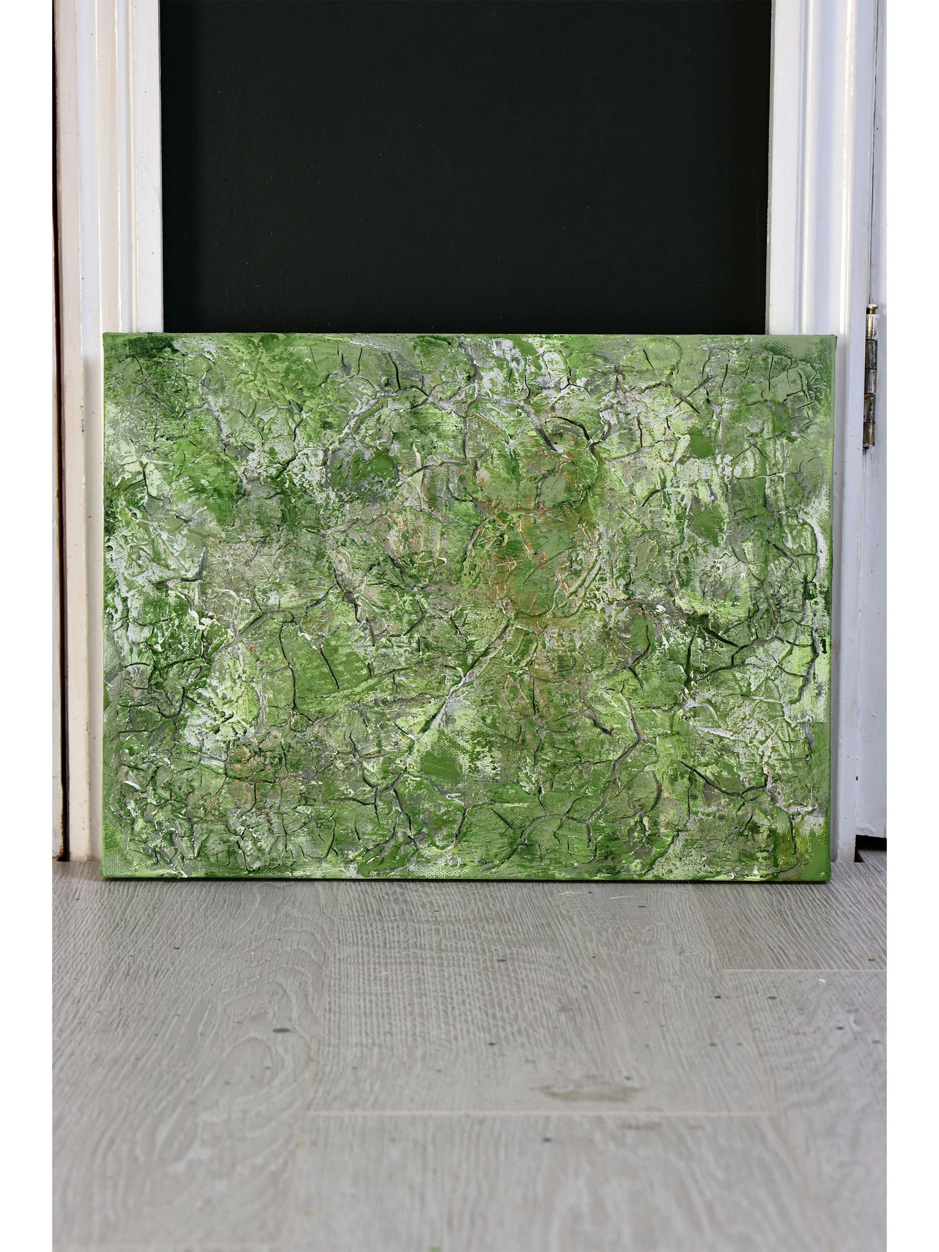 Eucalyptus 2 Shop.jpg