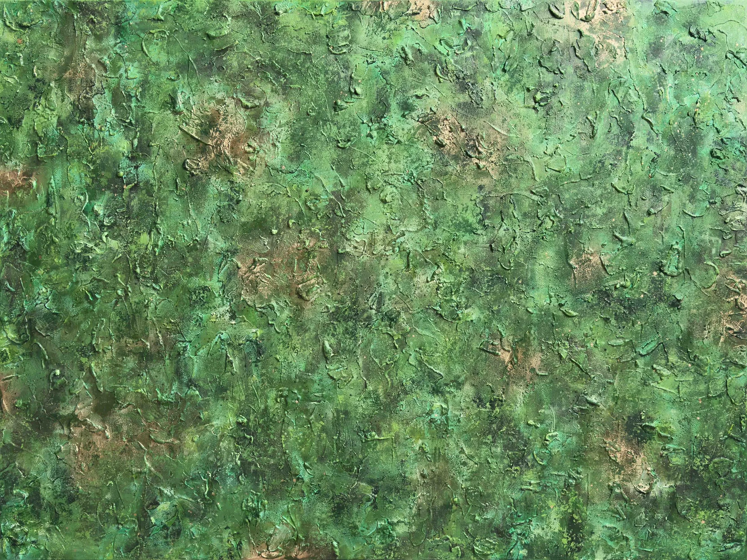 I Belong With The Trees