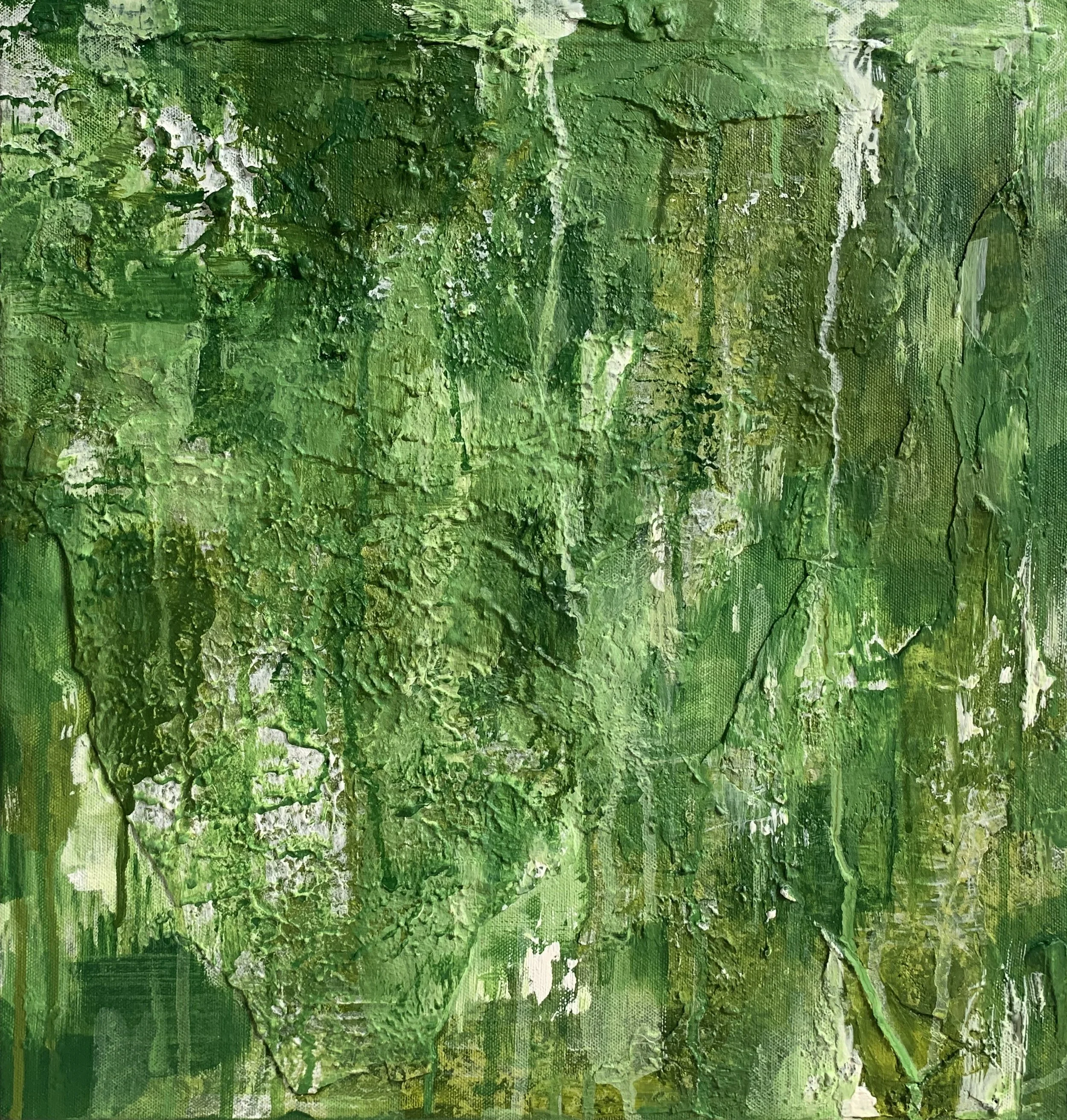ReForestation