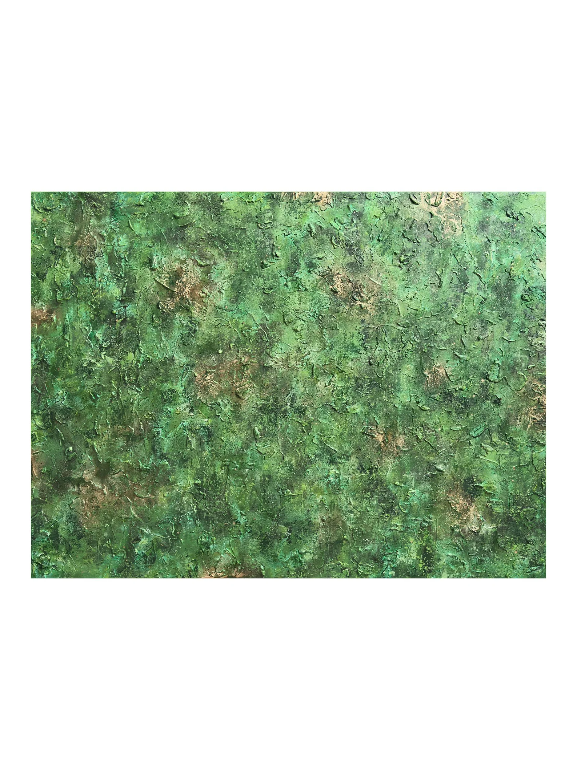 I Belong With The Trees - 1 Shop.jpg