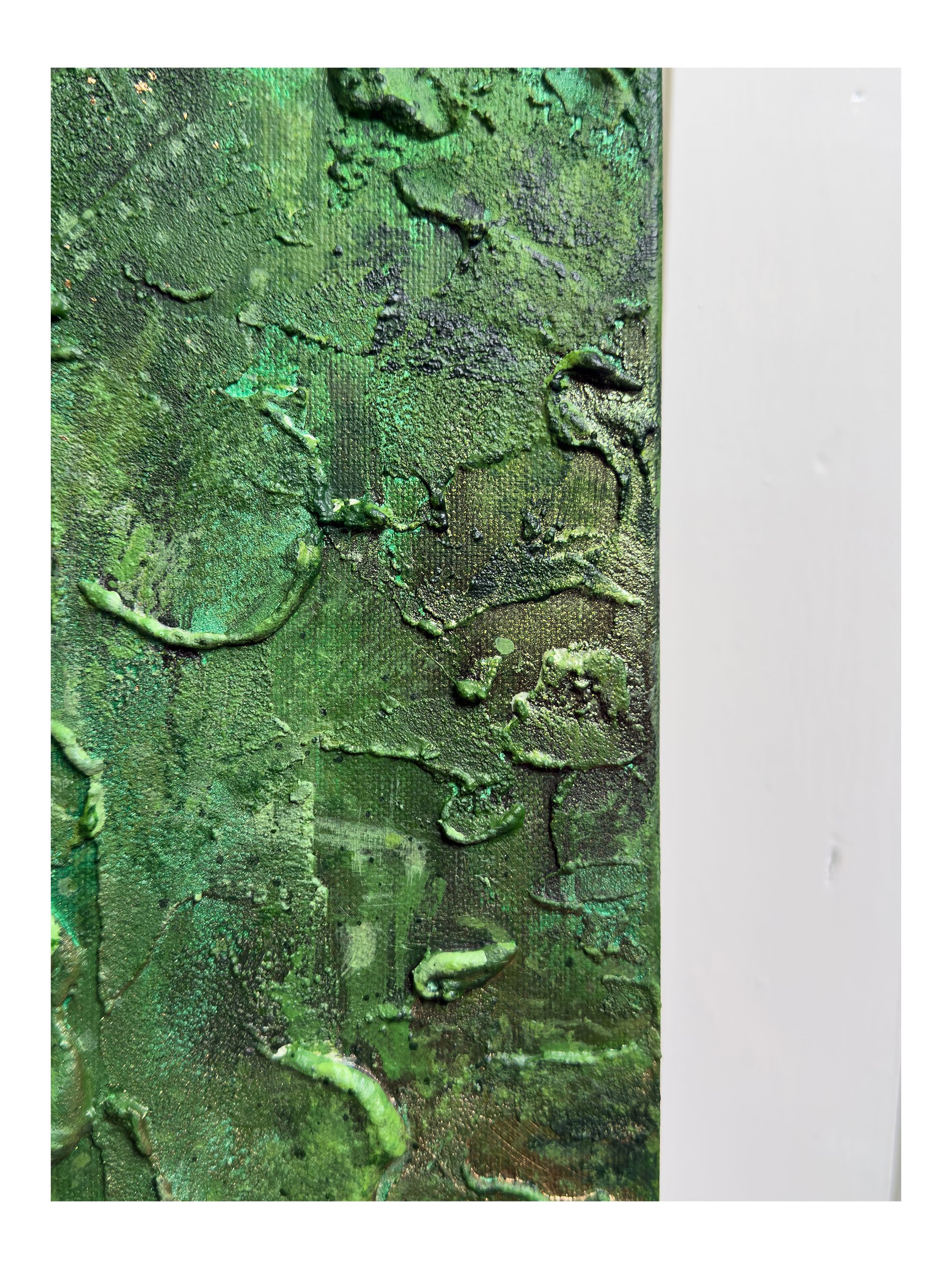 I Belong With The Trees - 6 Shop.jpg