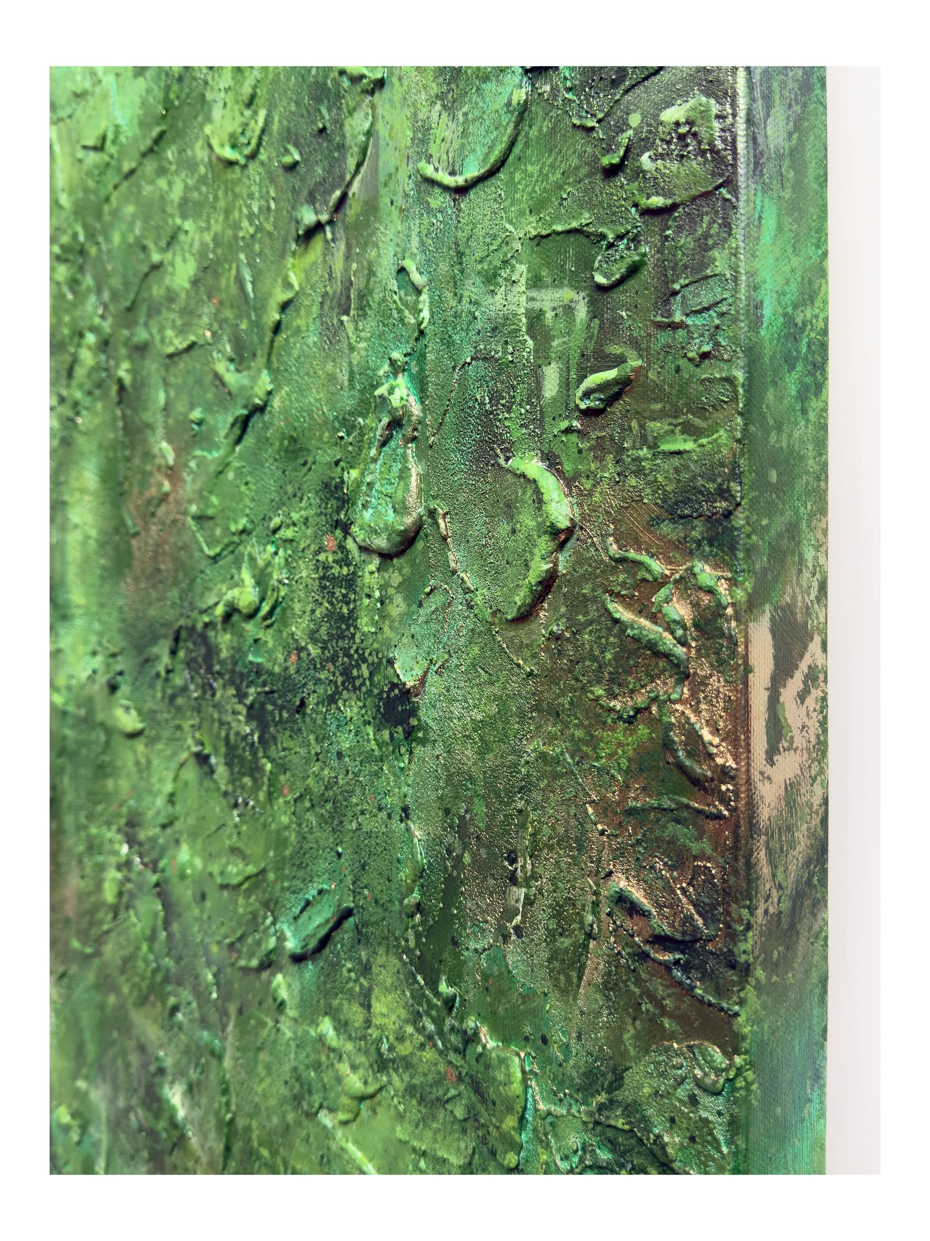 I Belong With The Trees - 7 Shop.jpg