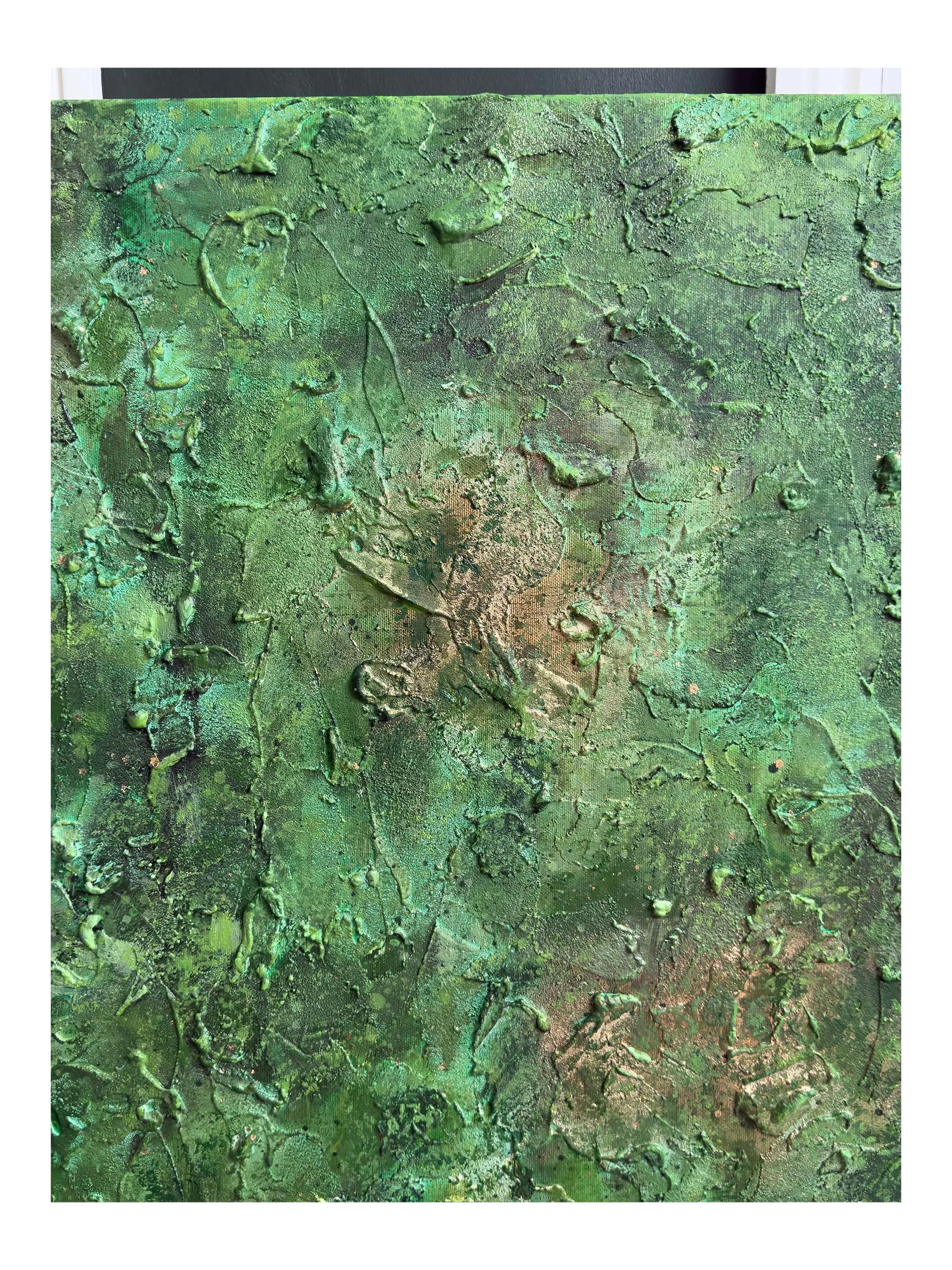 I Belong With The Trees - 10 Shop.jpg