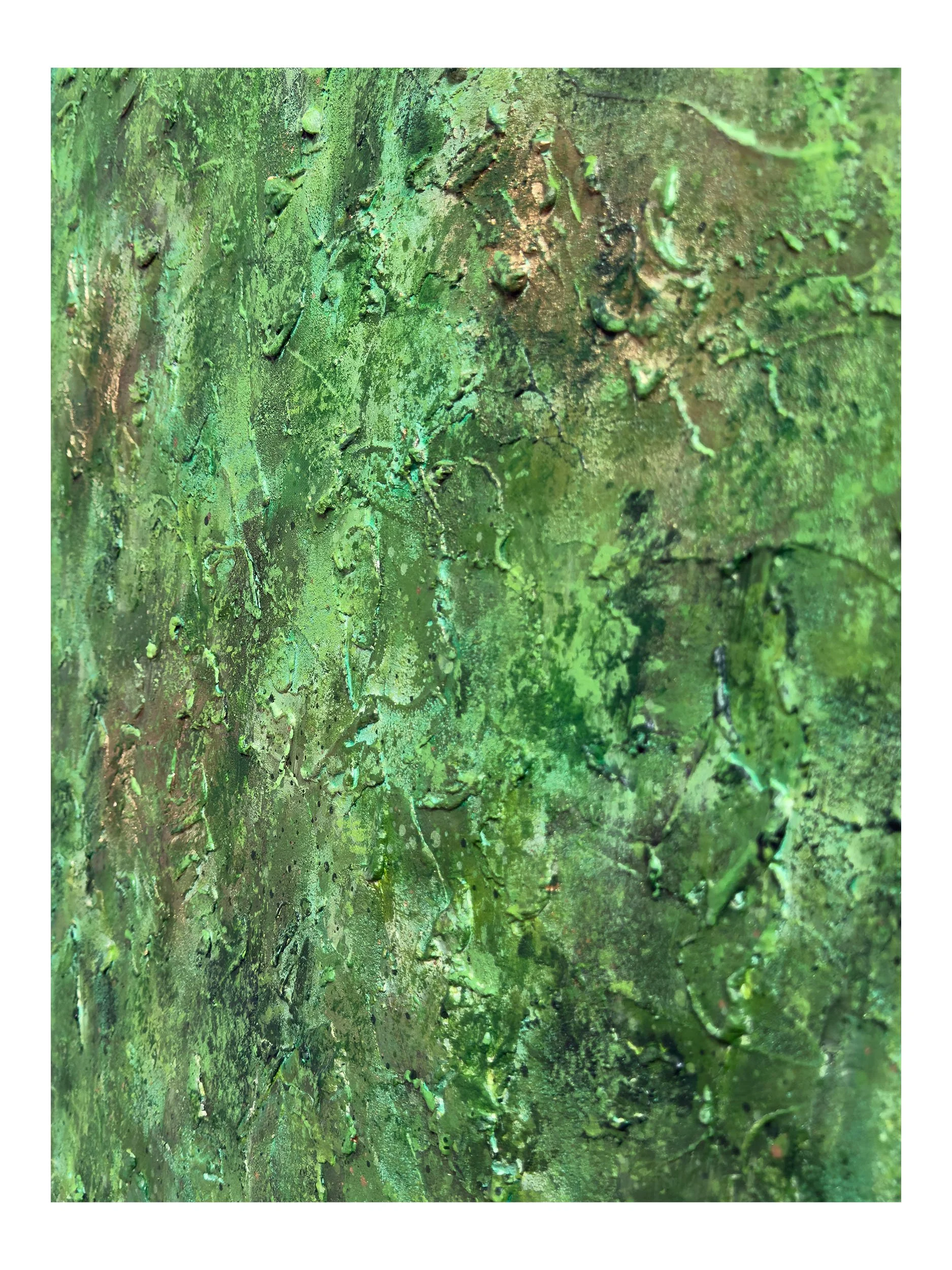 I Belong With The Trees - 9 Shop.jpg