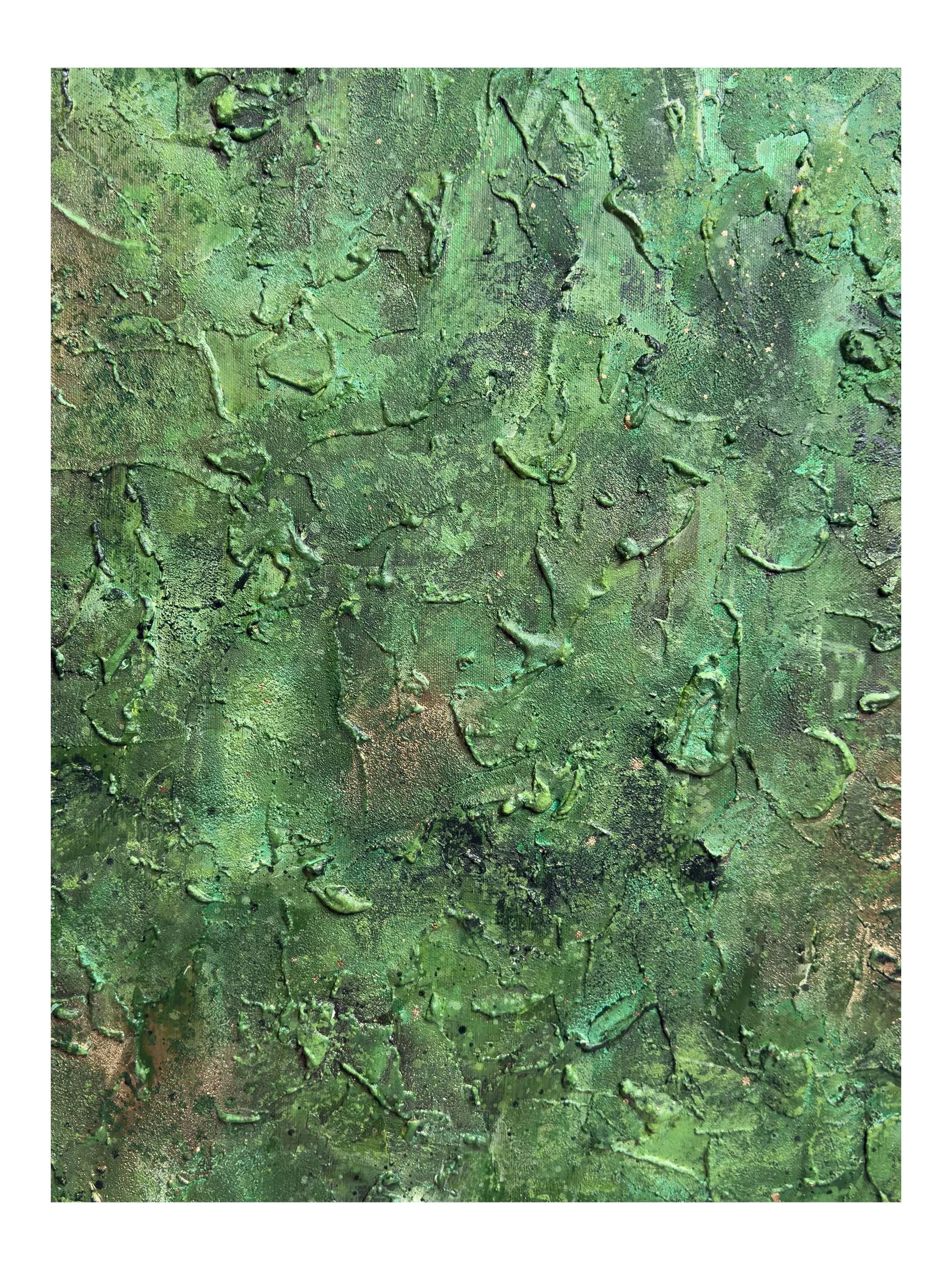 I Belong With The Trees - 13 Shop.jpg