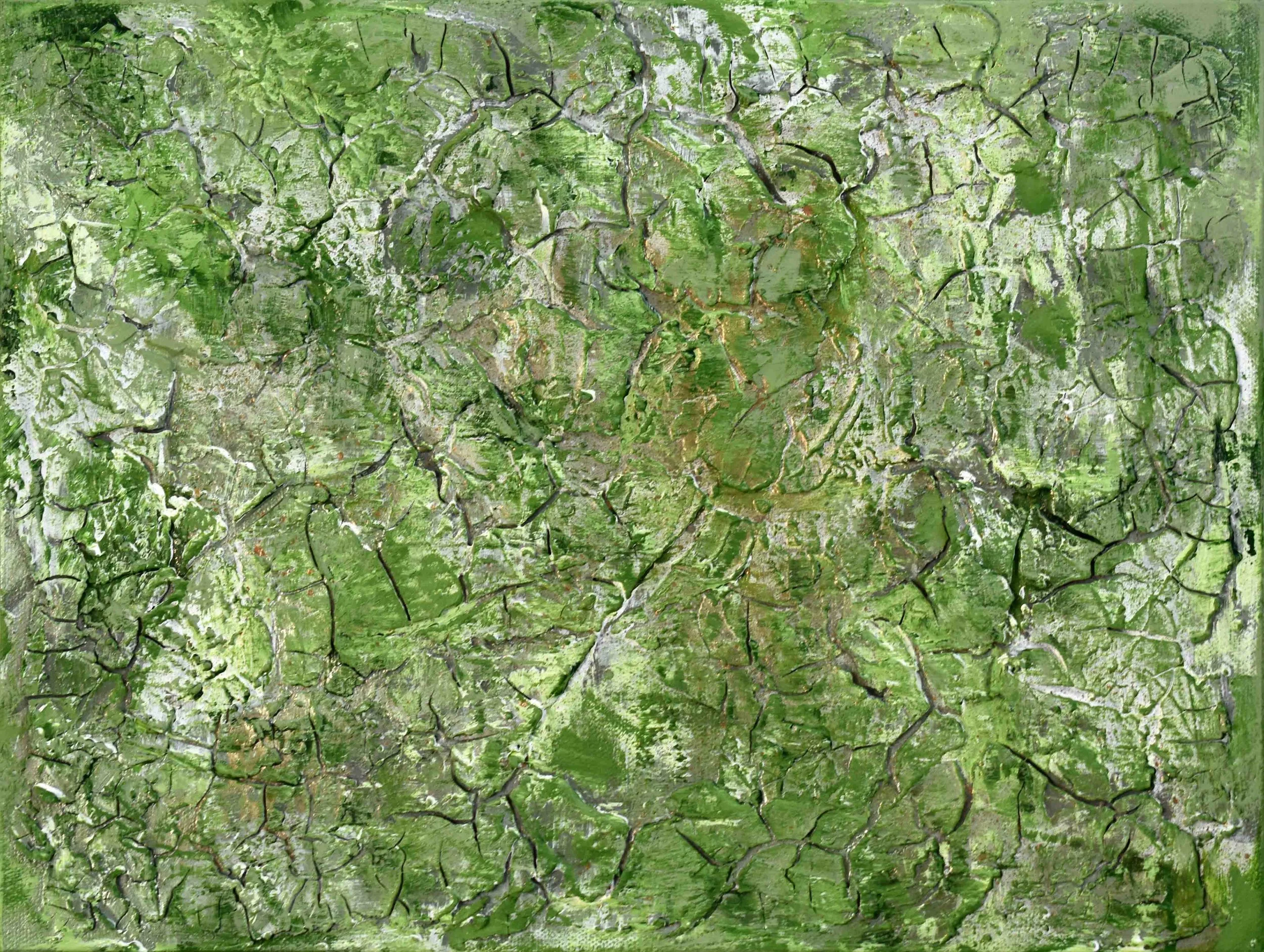 Eucalyptus