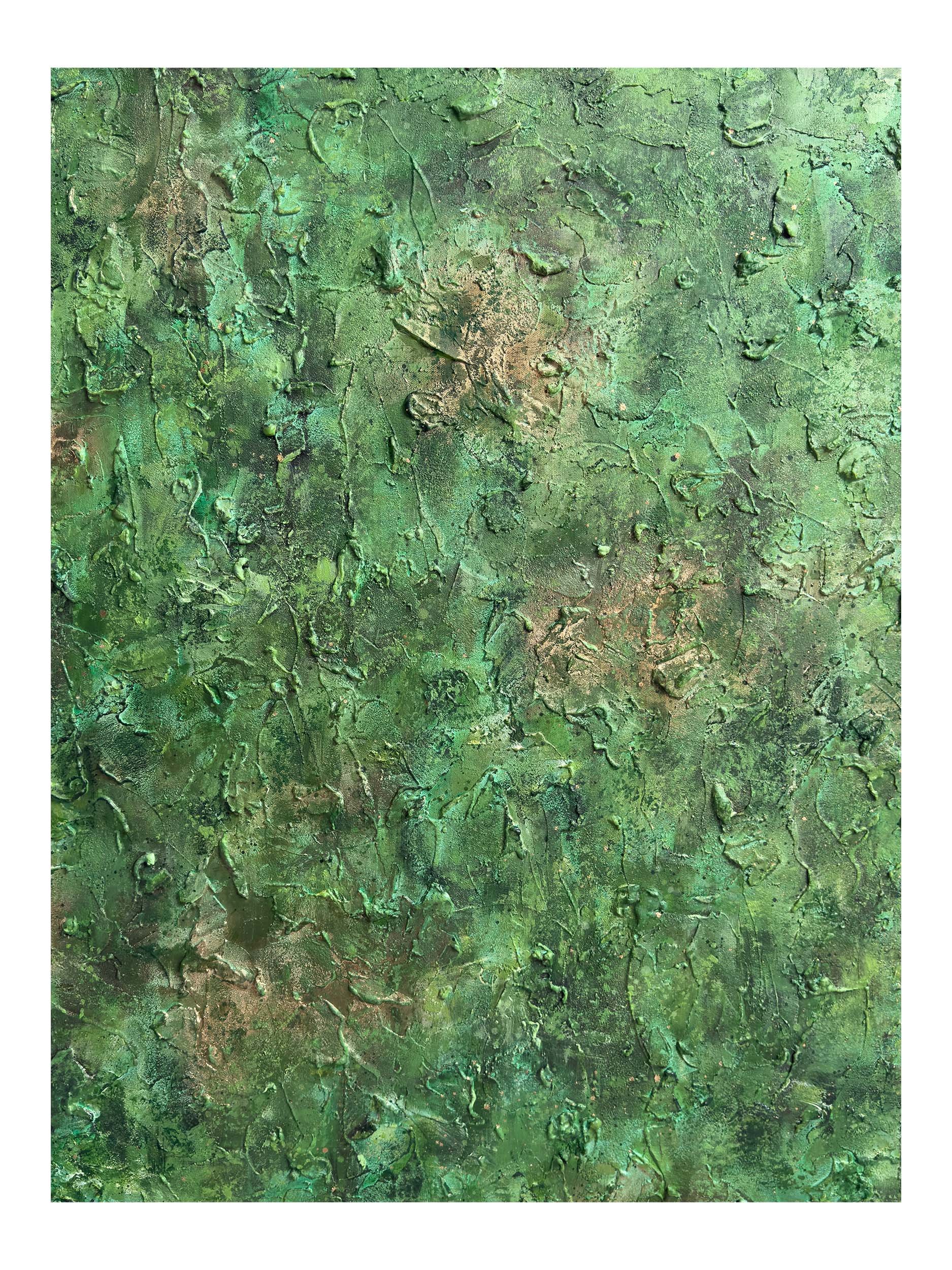 I Belong With The Trees - 11 Shop.jpg