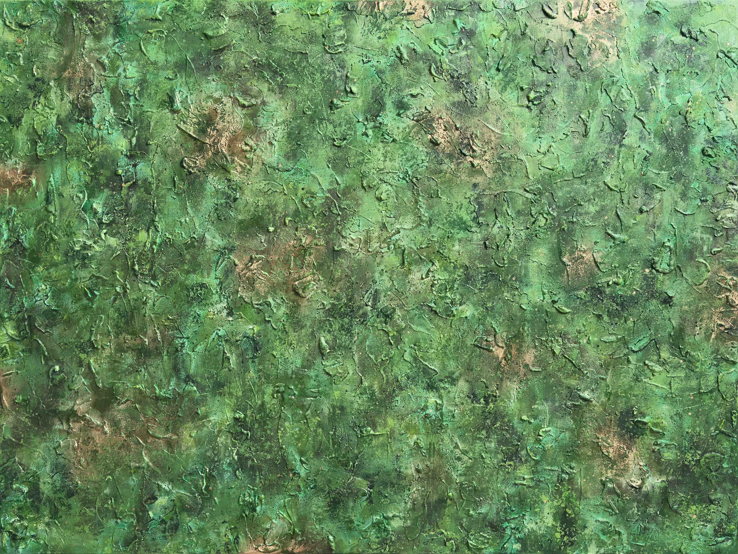 I Belong With The Trees