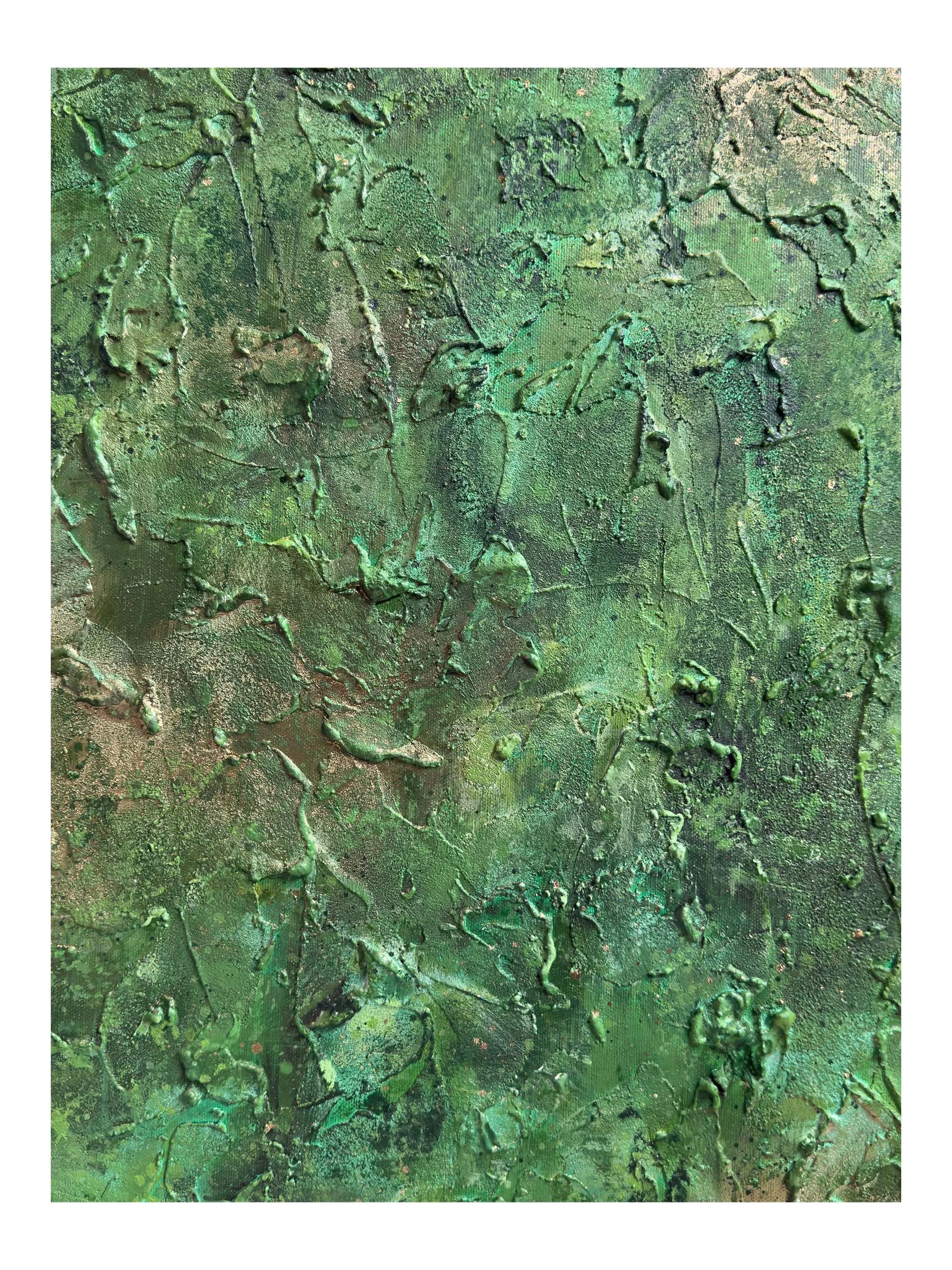 I Belong With The Trees - 15 Shop.jpg