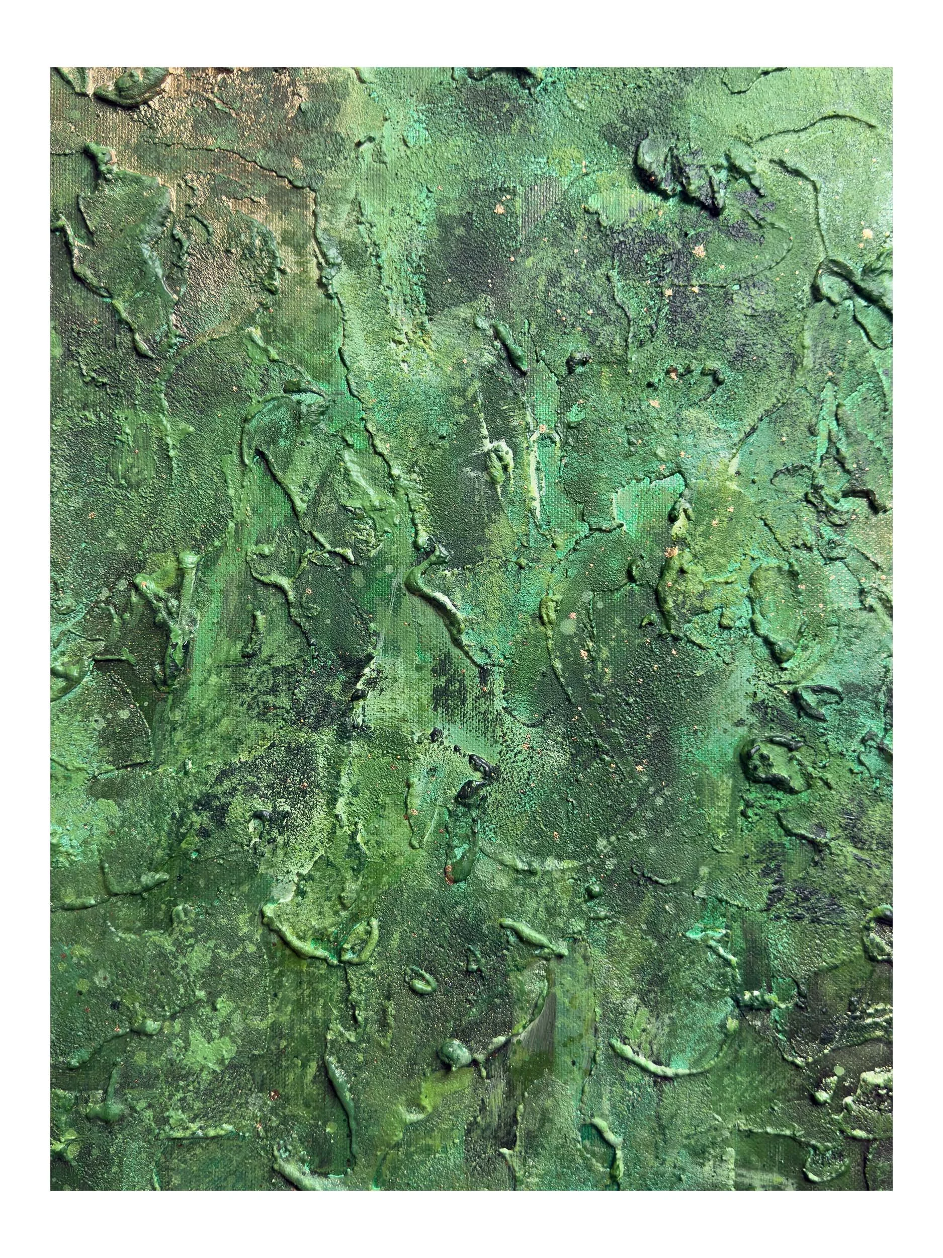 I Belong With The Trees - 14 Shop.jpg