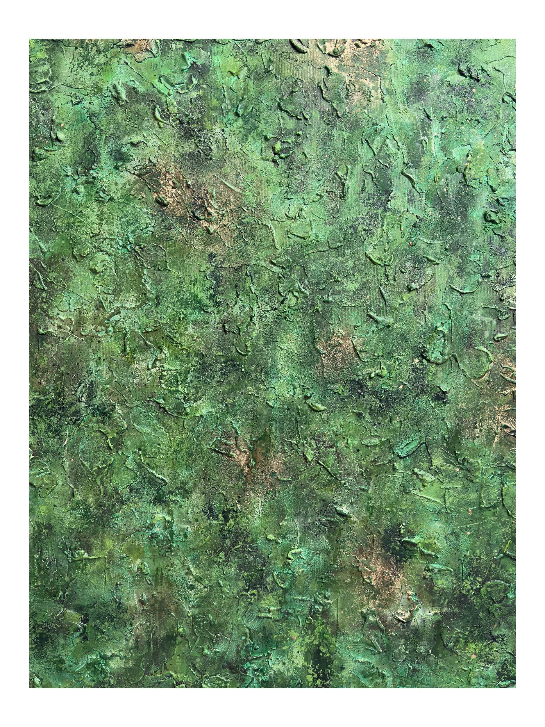 I Belong With The Trees - 12 Shop.jpg