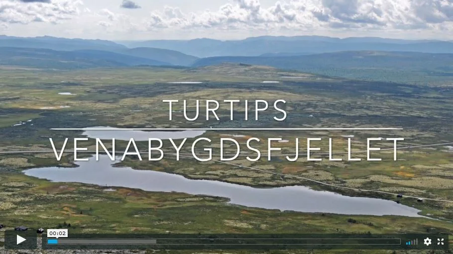 Turtips Venabygdsfjellet