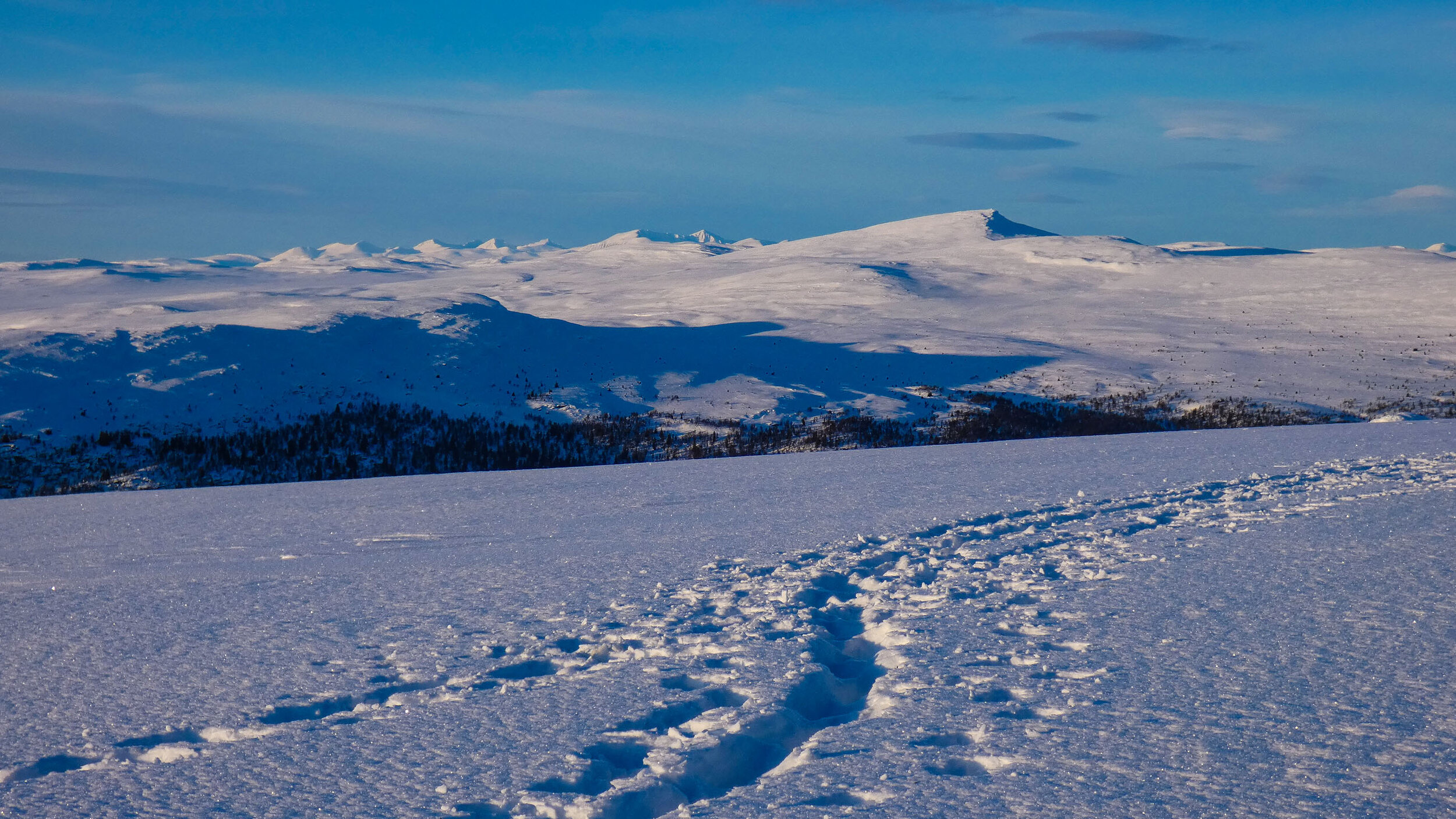 Velkommen til ringebu fjellstyre