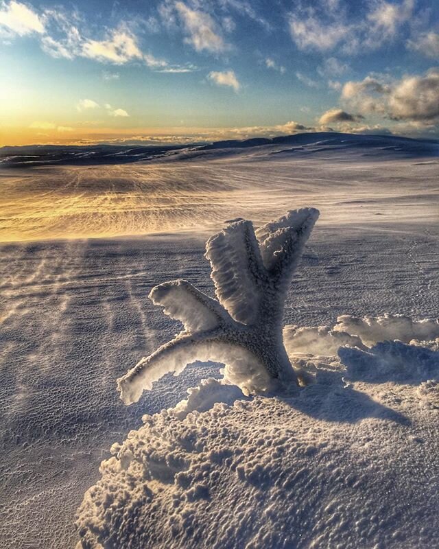 Breitj&oslash;nnh&oslash;gda #ringebufjellet #skiftendev&aelig;r #fjellstyrene